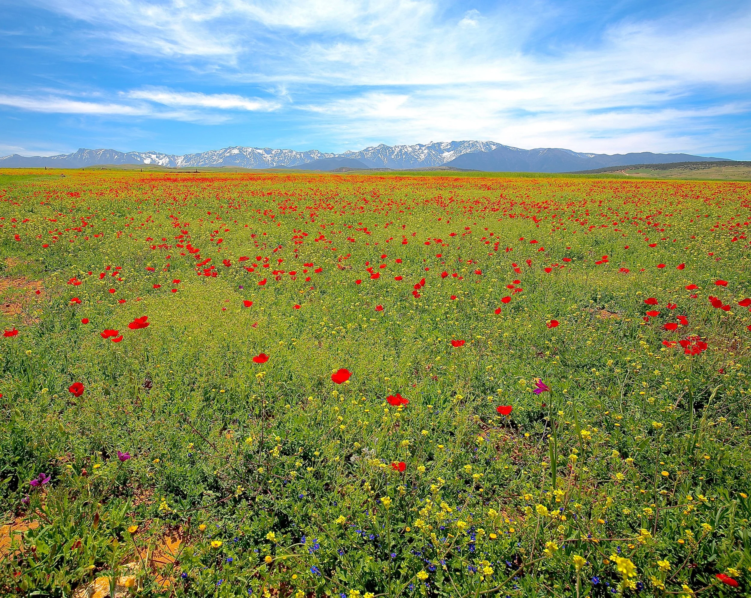 Atlas Mountains, Morocco