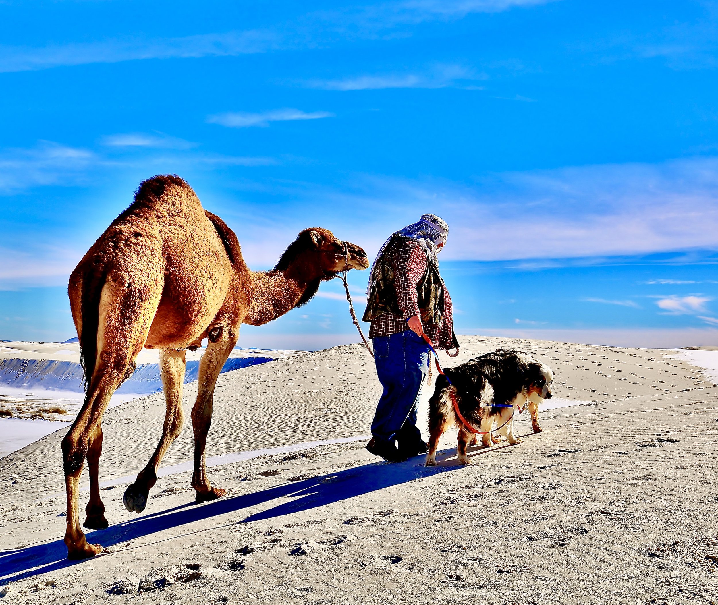 White Sands, New Mexico