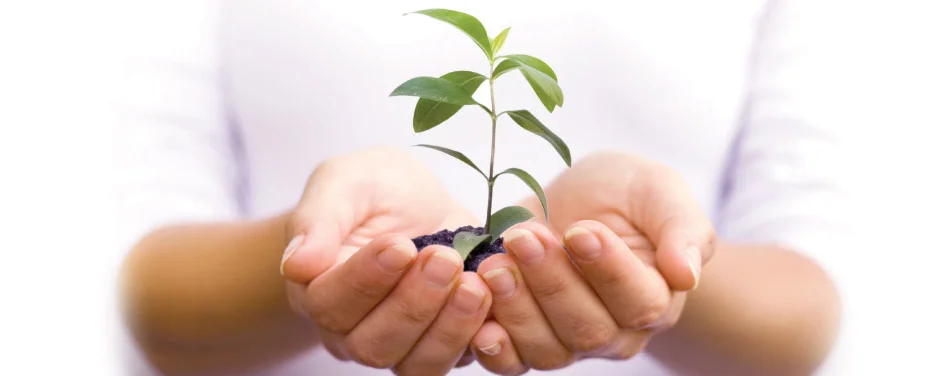 enviroment-header.jpg