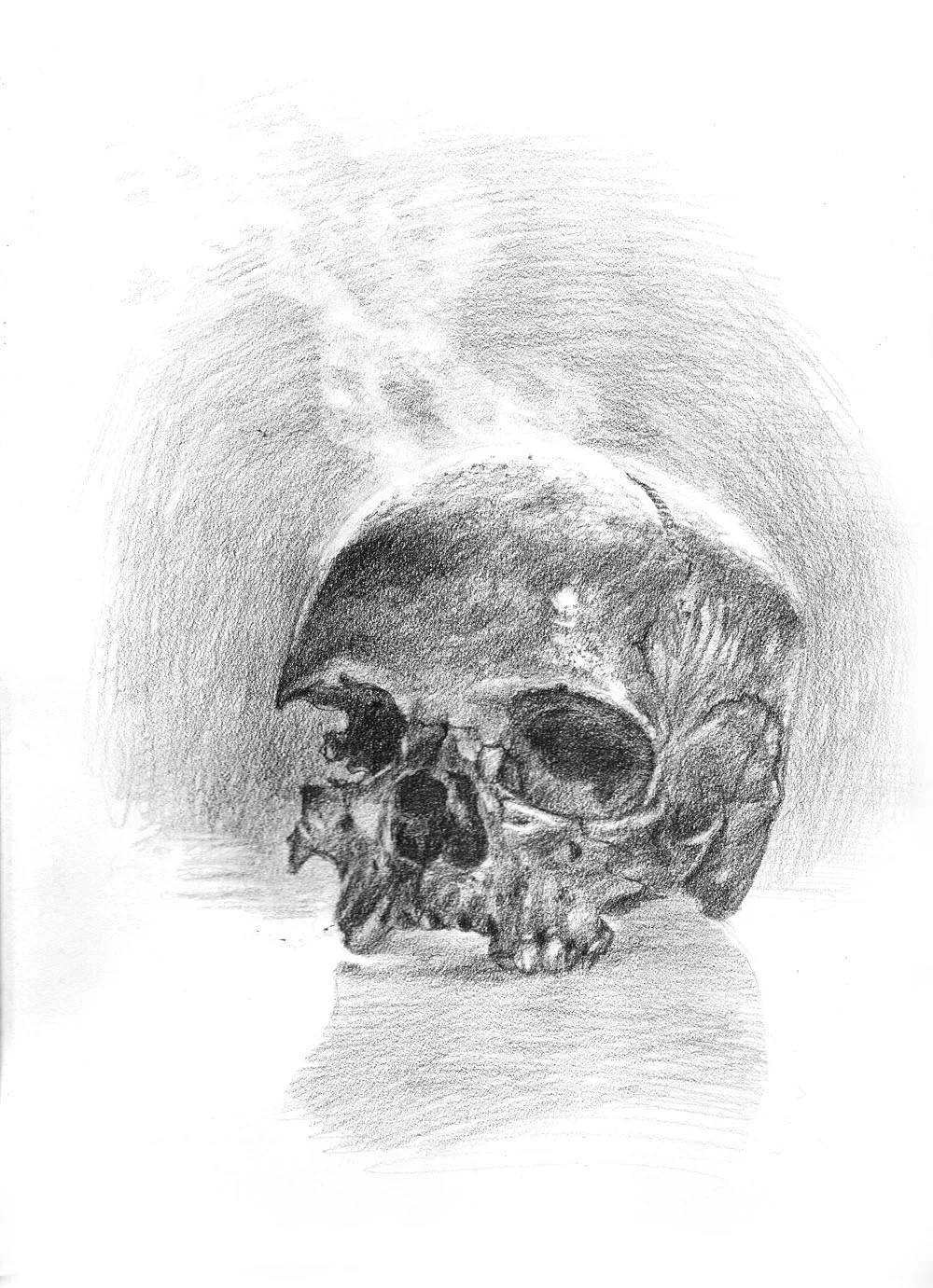 skull11.jpg