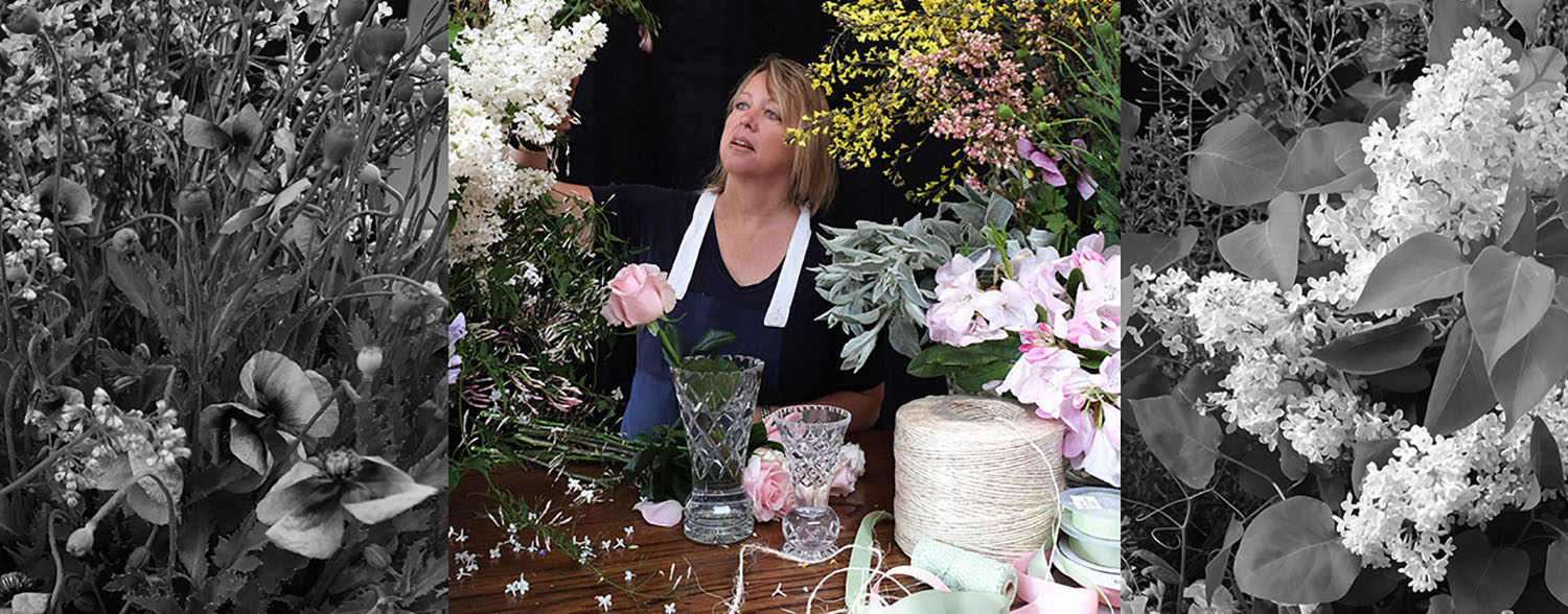 Fiona Kind Words Comp.jpg