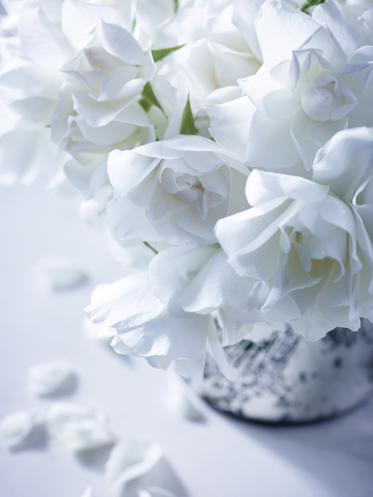 778-23b-WEDDING_TEXTURES__V2_012-RGB.jpg