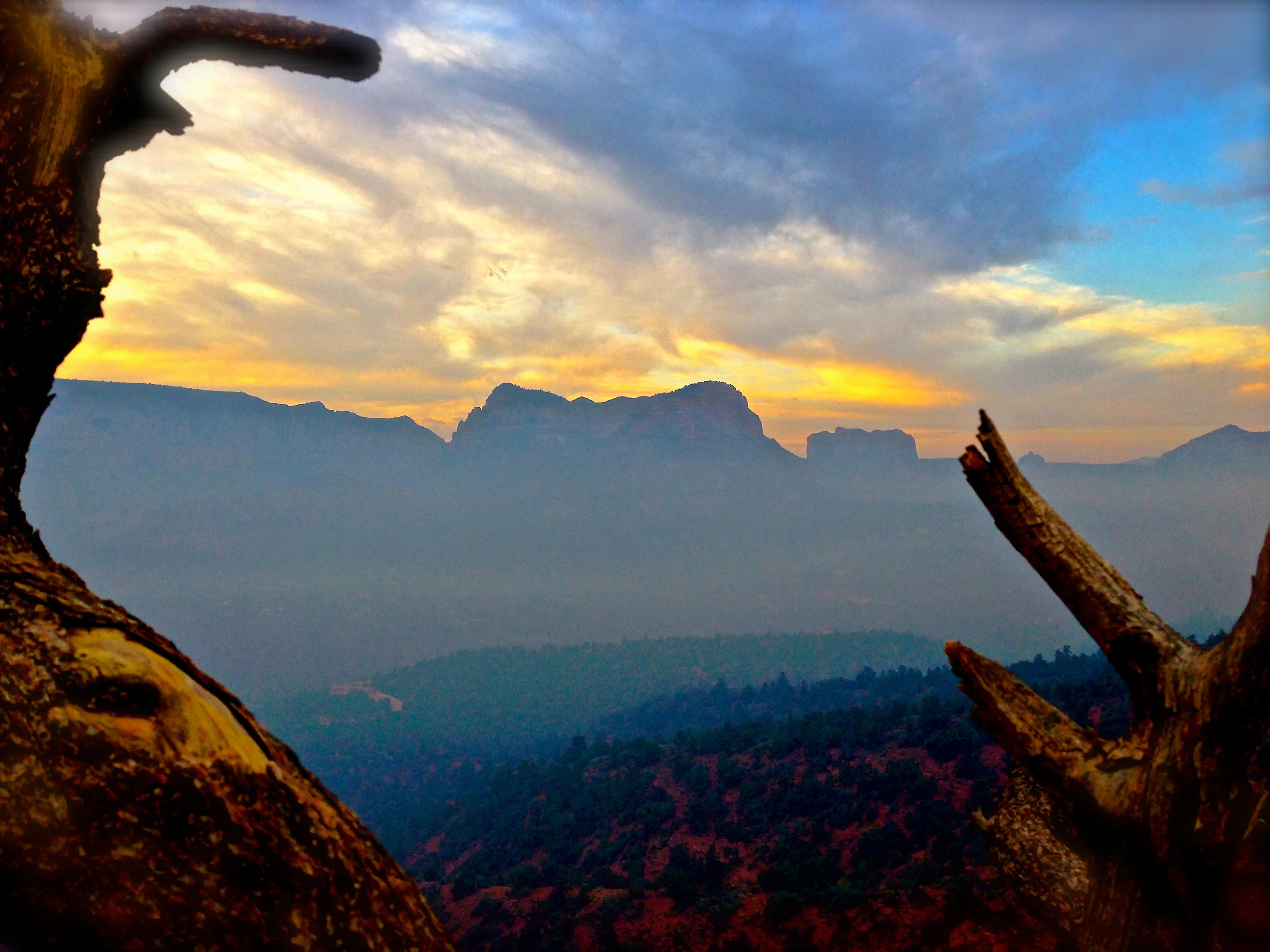Framing mountains between fallen trees. Late afternoon light. Southern Utah.