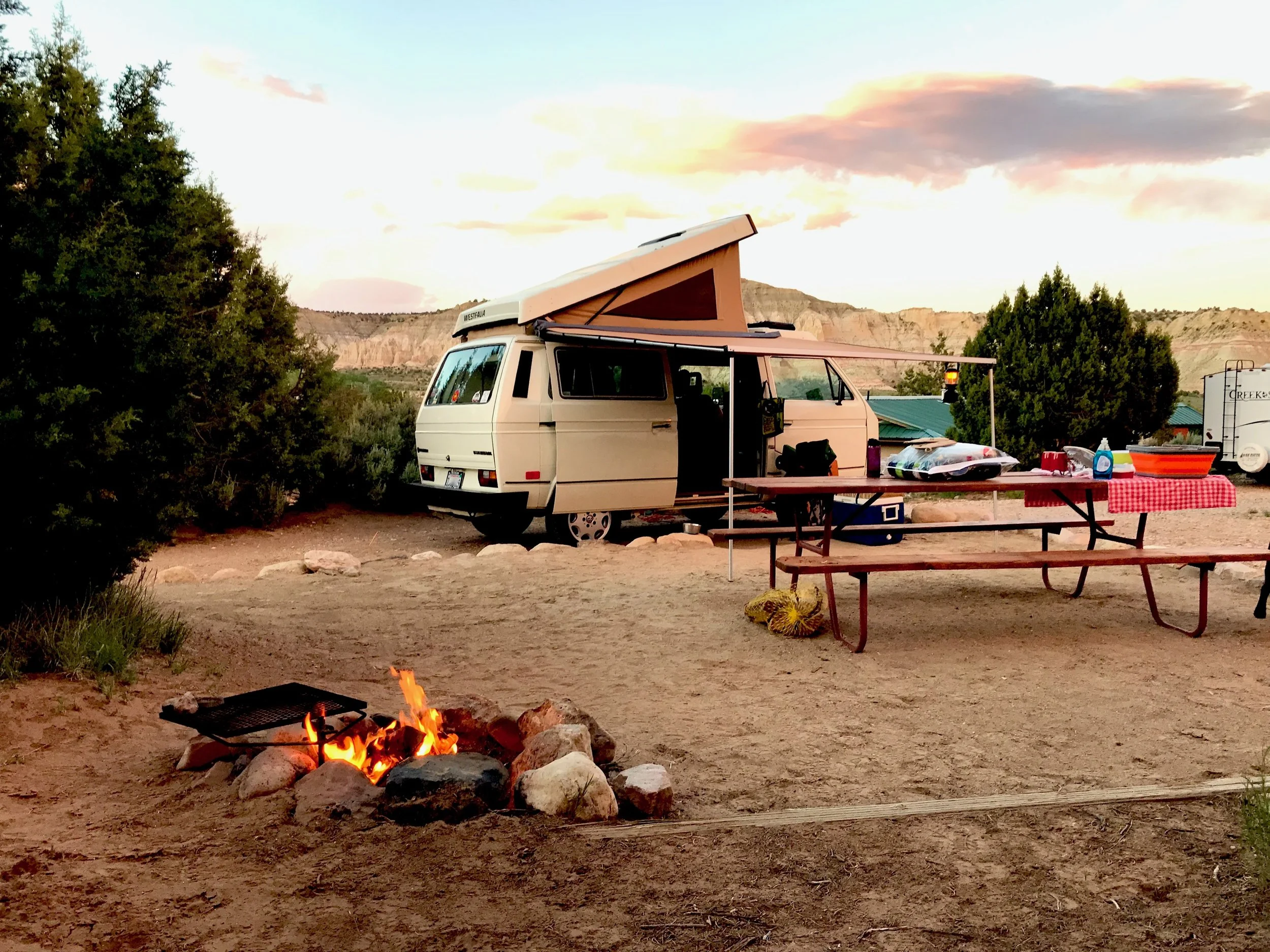 IMG_8349.jpeg