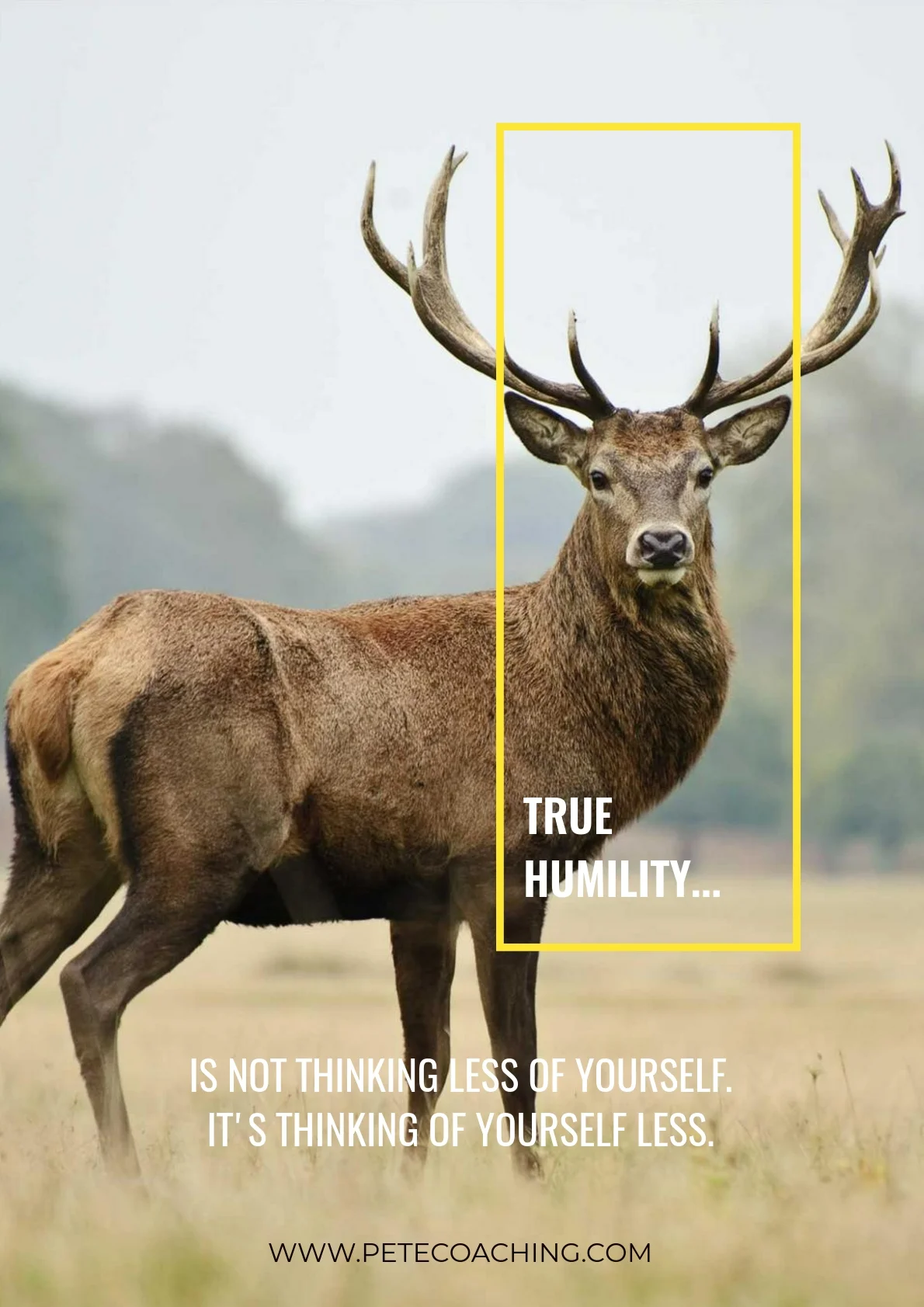 Humility.jpeg