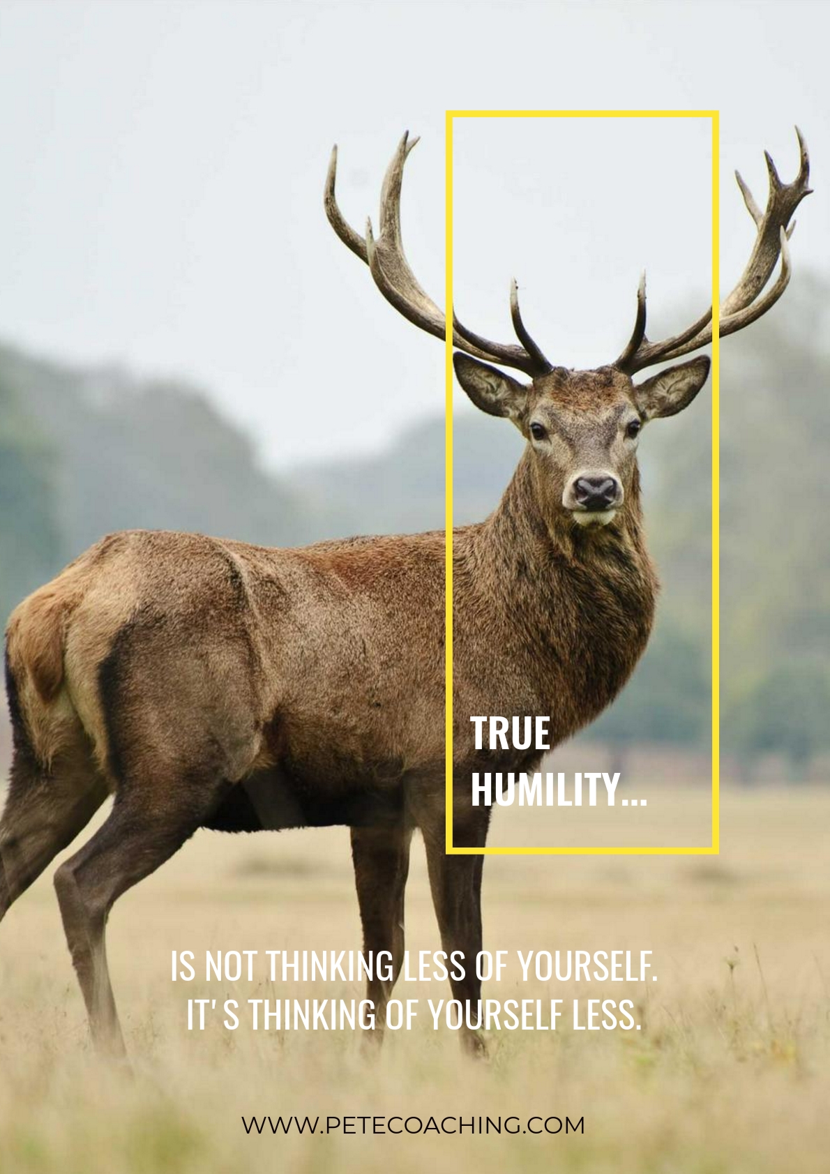 Humility.jpeg