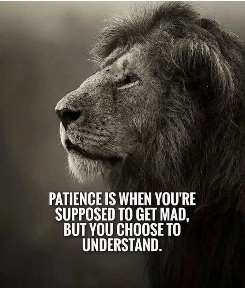Patience is when understanding trumps anger.jpeg