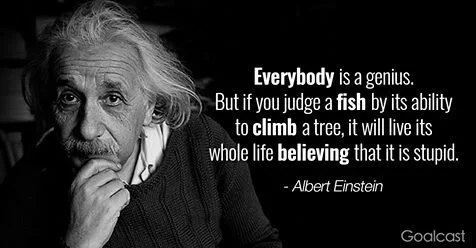 einstein genius.jpeg
