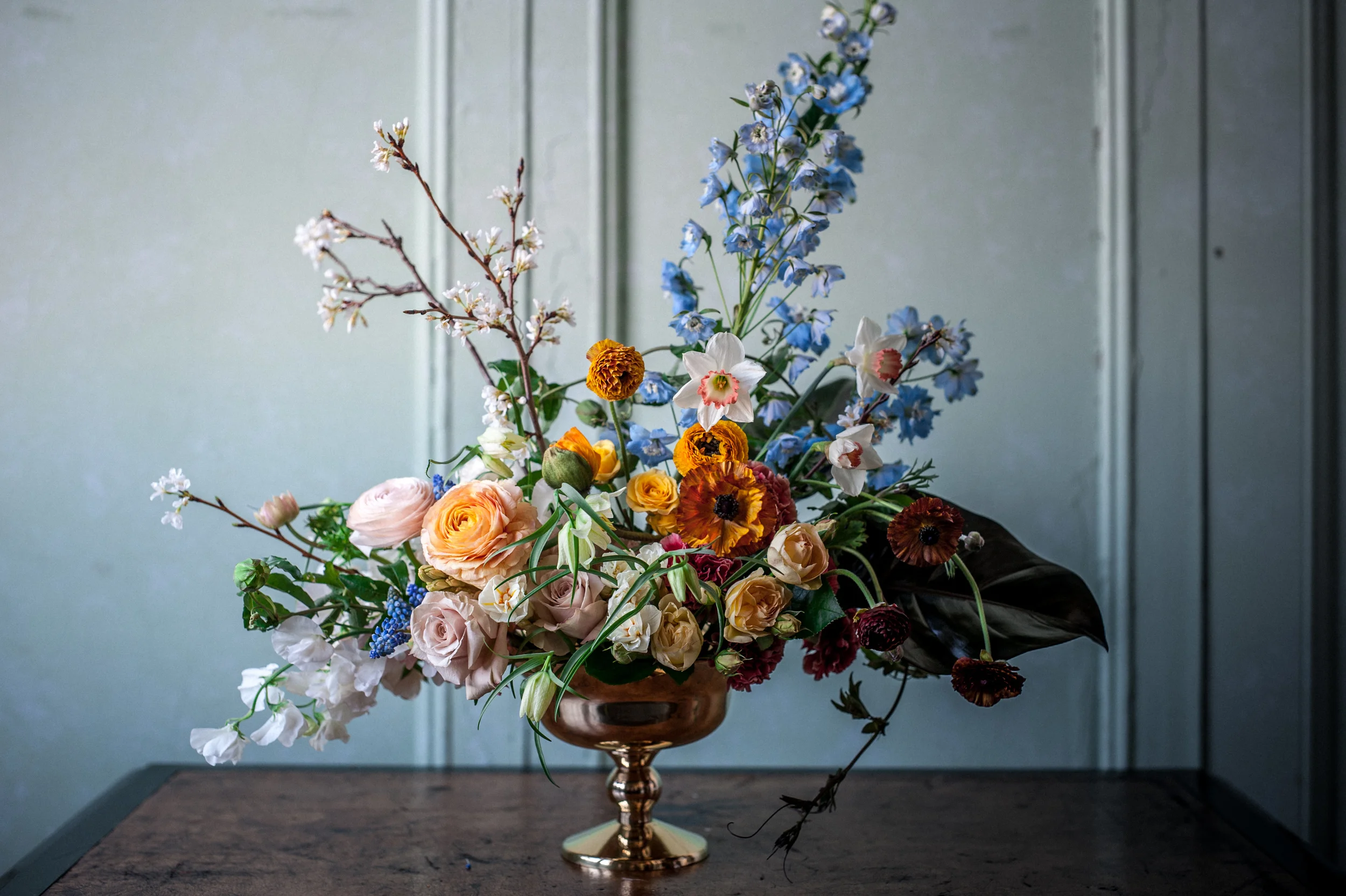  Holly Carlisle Photography 