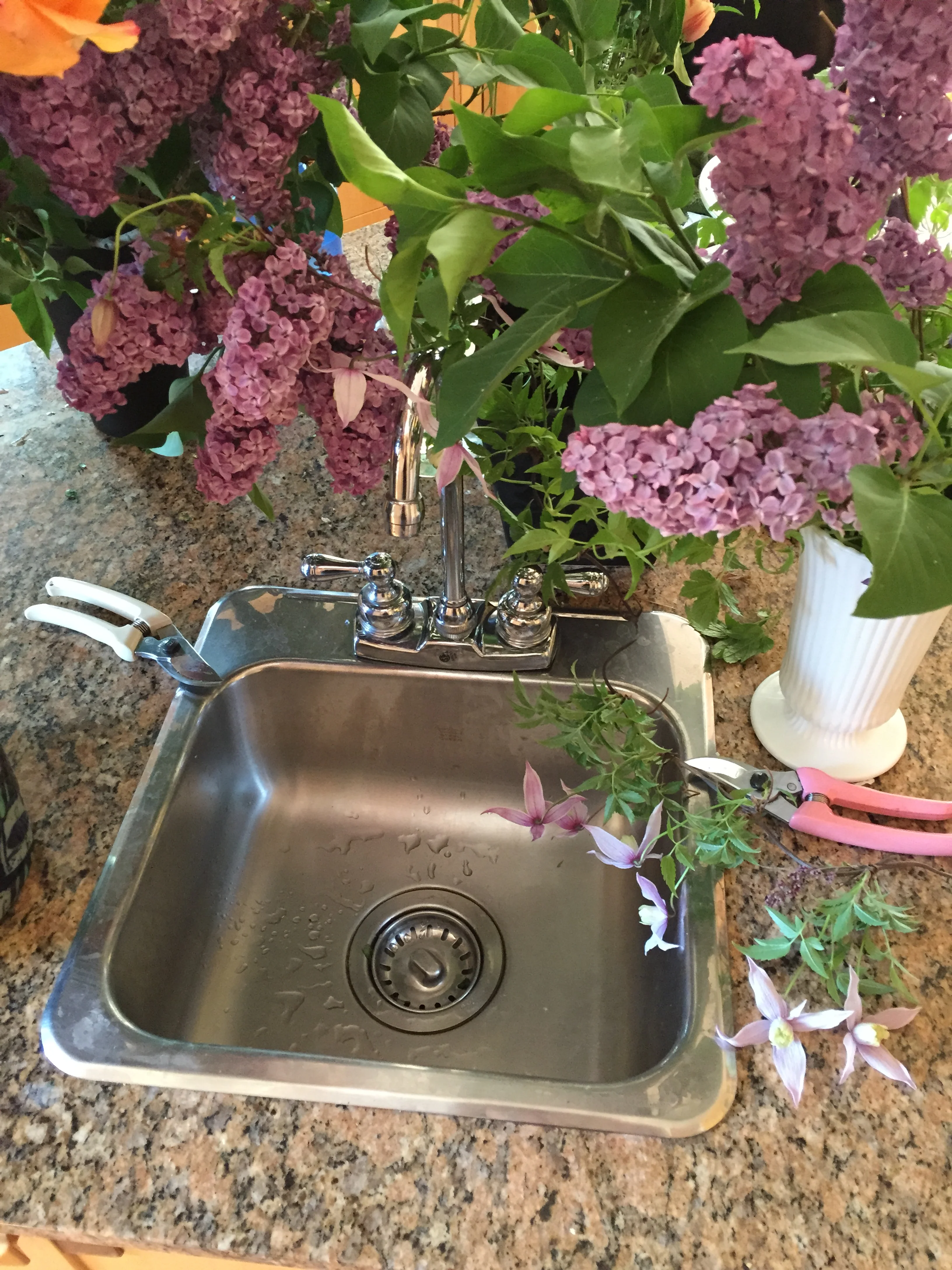 Could barely move as there was lilac hydrating everywhere