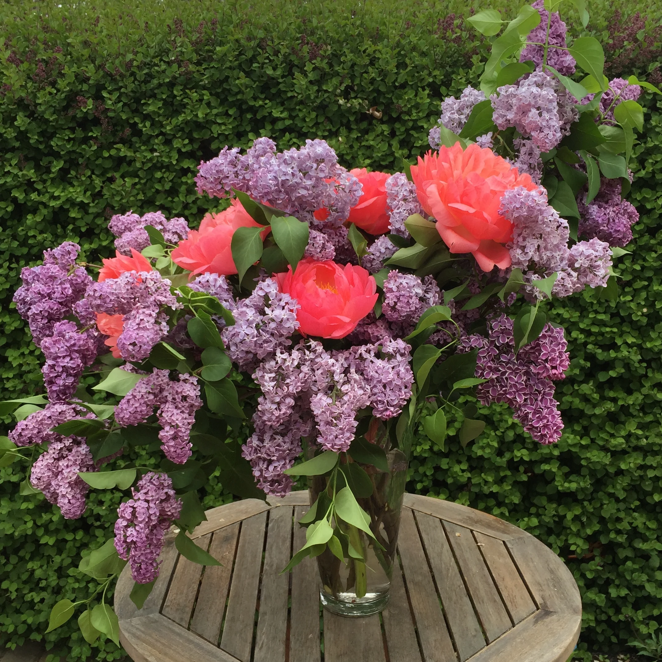 Lilac and 'Coral Charm' peonies for the church