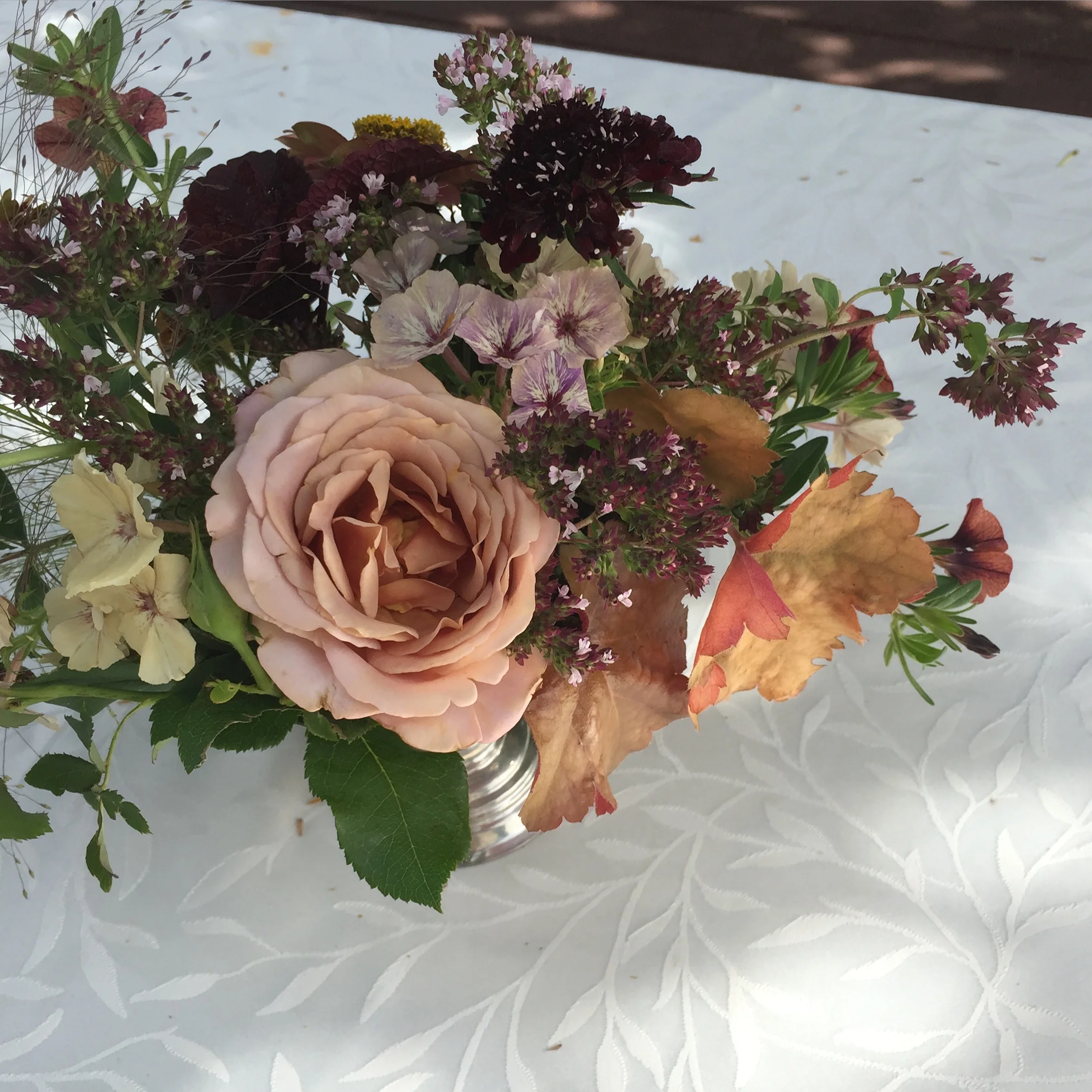The first of the roses, Koko Loko, inspired this gorgeous colour scheme using phlox, heuchera, scabiosa, oregano, Frosted Explosion grass and calibrachoa.