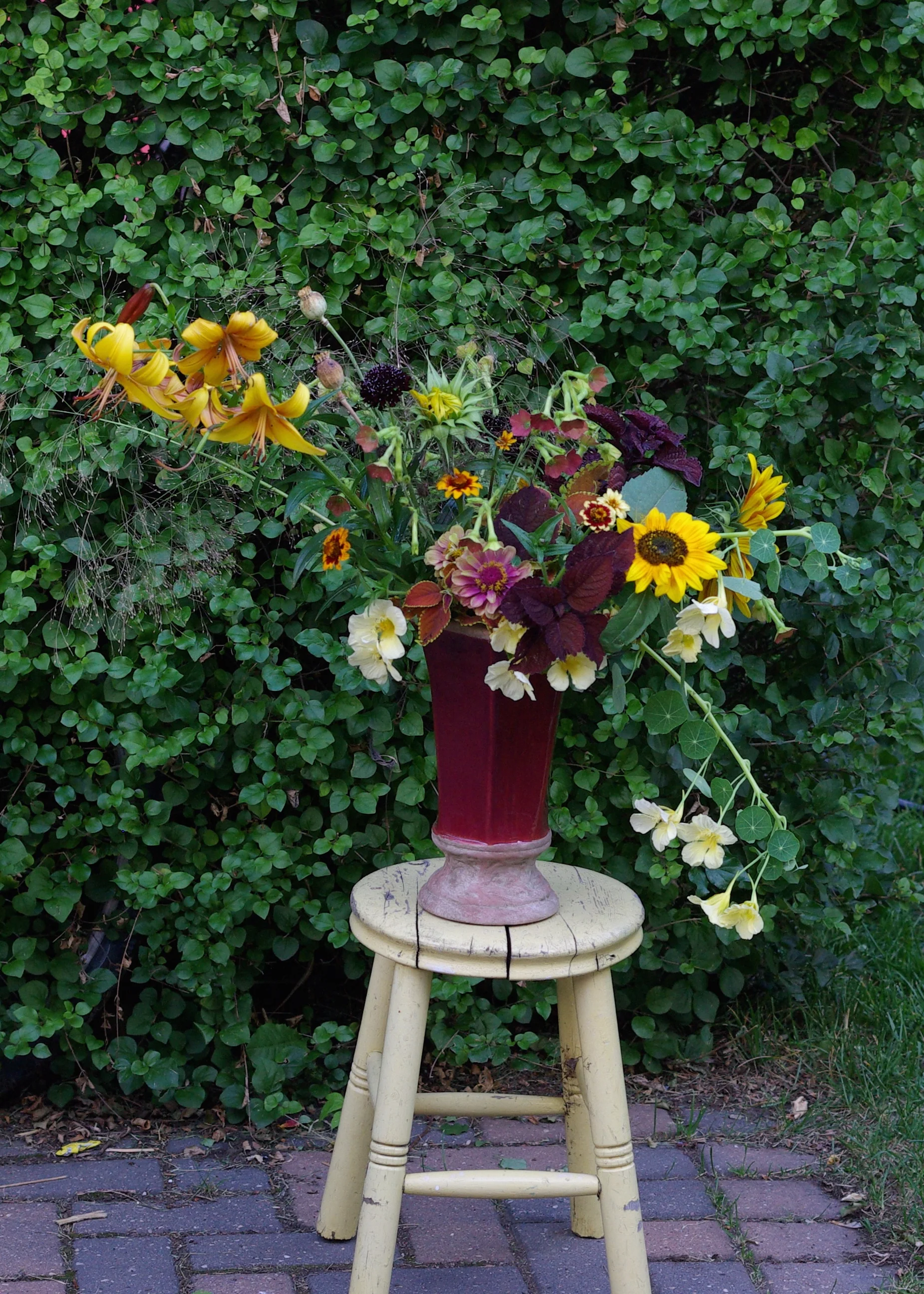 A distillation of the garden in August