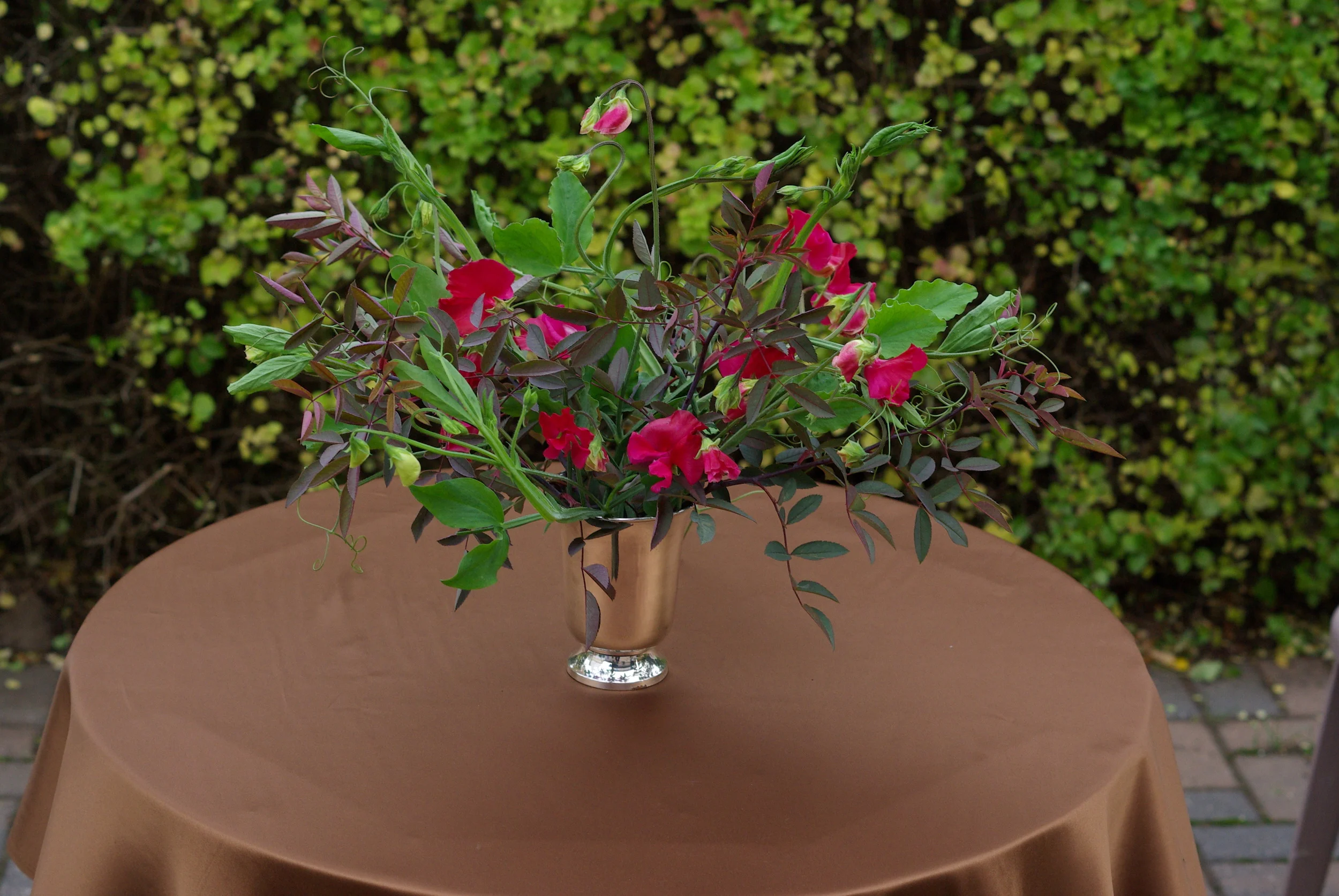 Late September - sweet peas ('Lipstick') and Rosa glauca