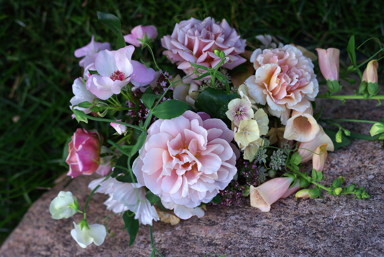 Late July - the first real flush of roses (!), sweet peas, cosmos, oregano, astrantia, phlox, foxglove