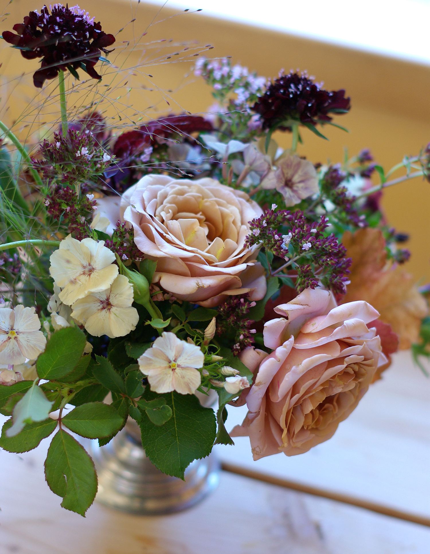 Late July - roses, phlox, oregano, frosted explosion grass, scabiosa, heuchera, coleus 