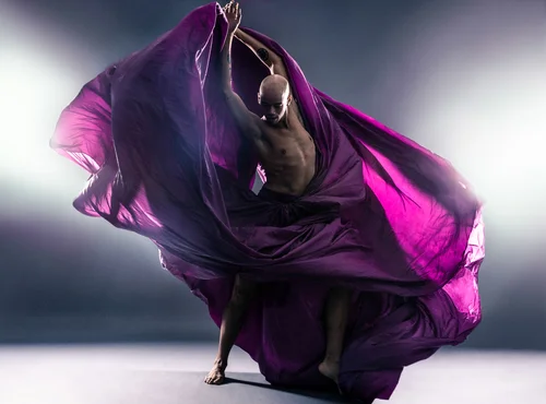 Dance Companies