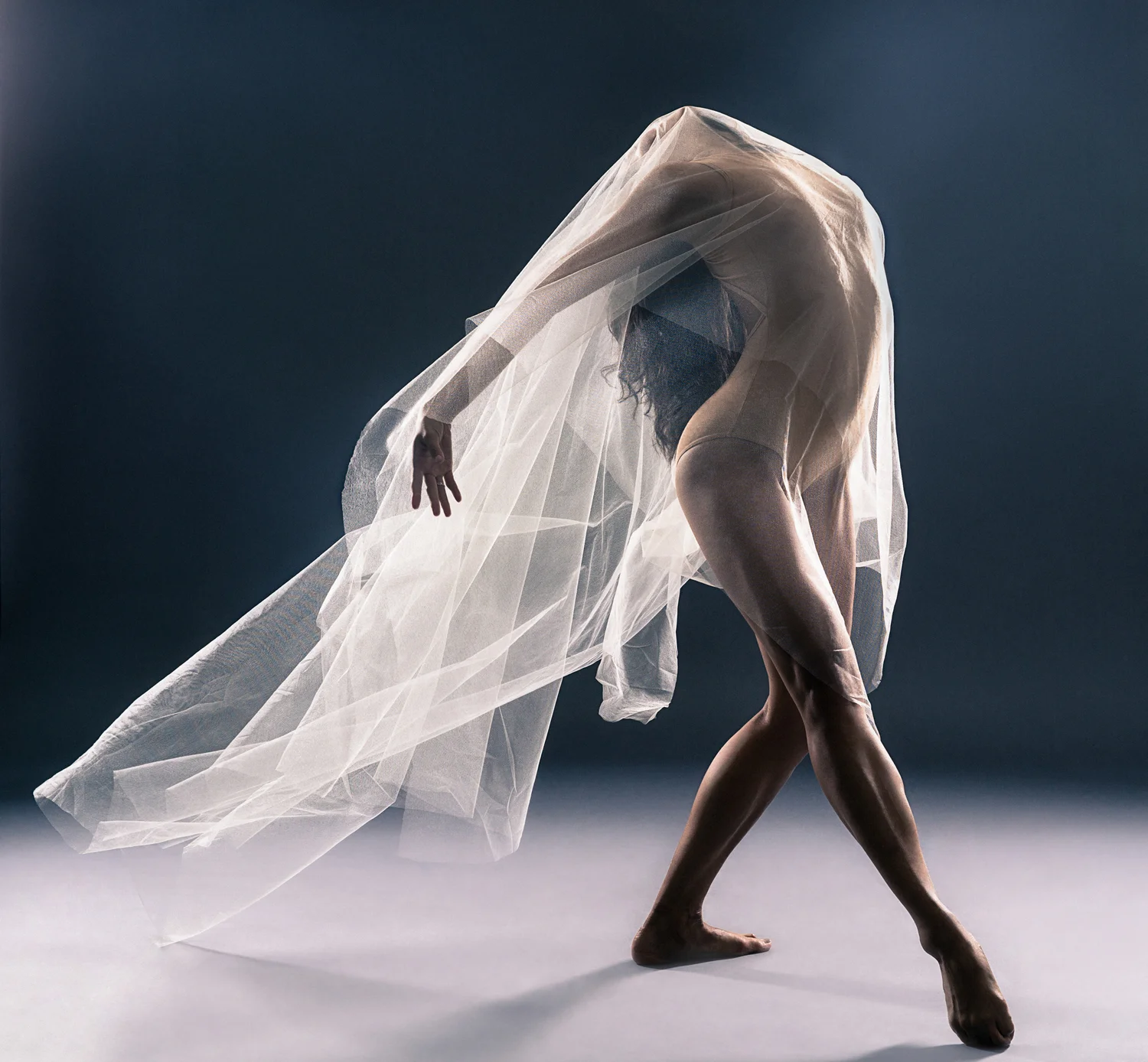 Dance Companies