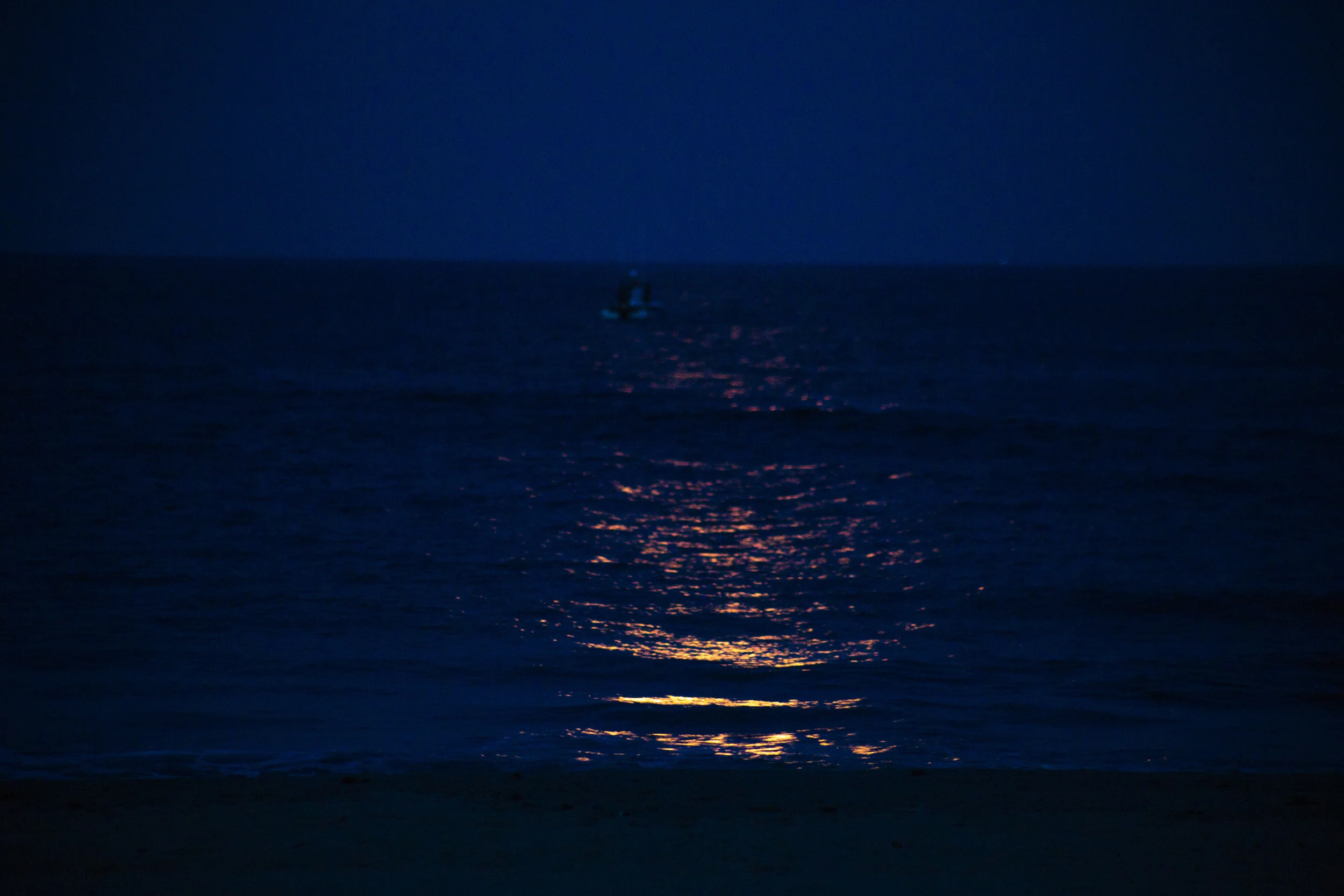 IMG_8997.jpg