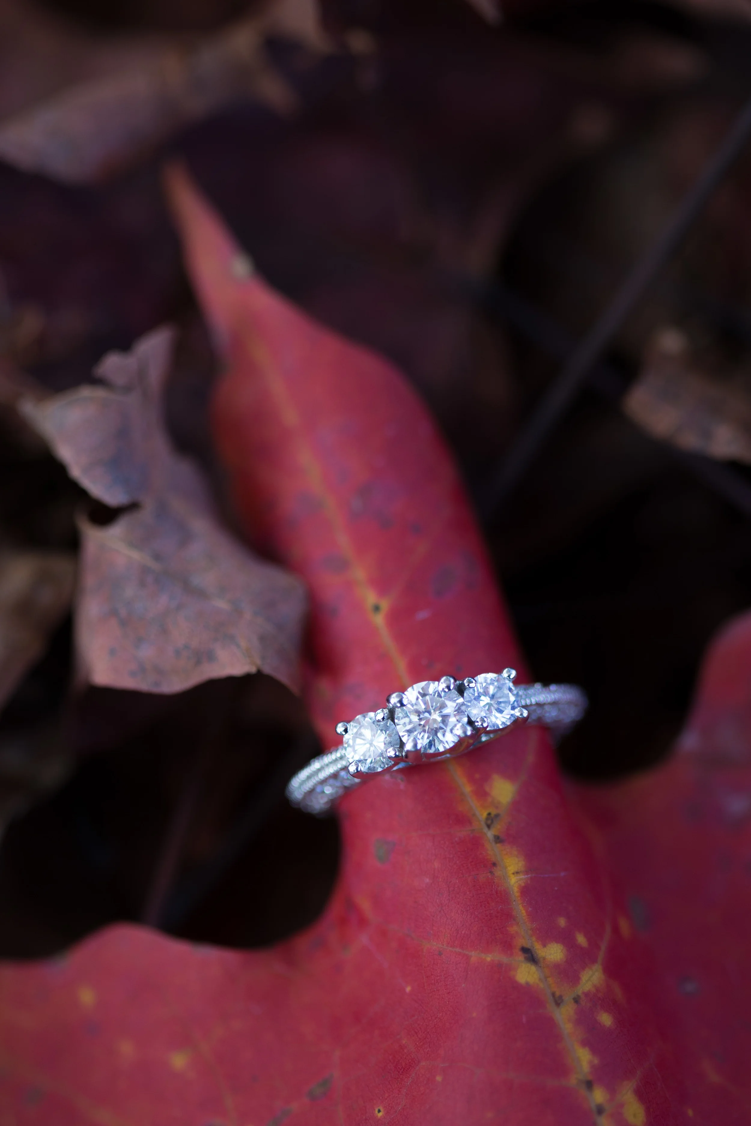 IMG_9378.jpg