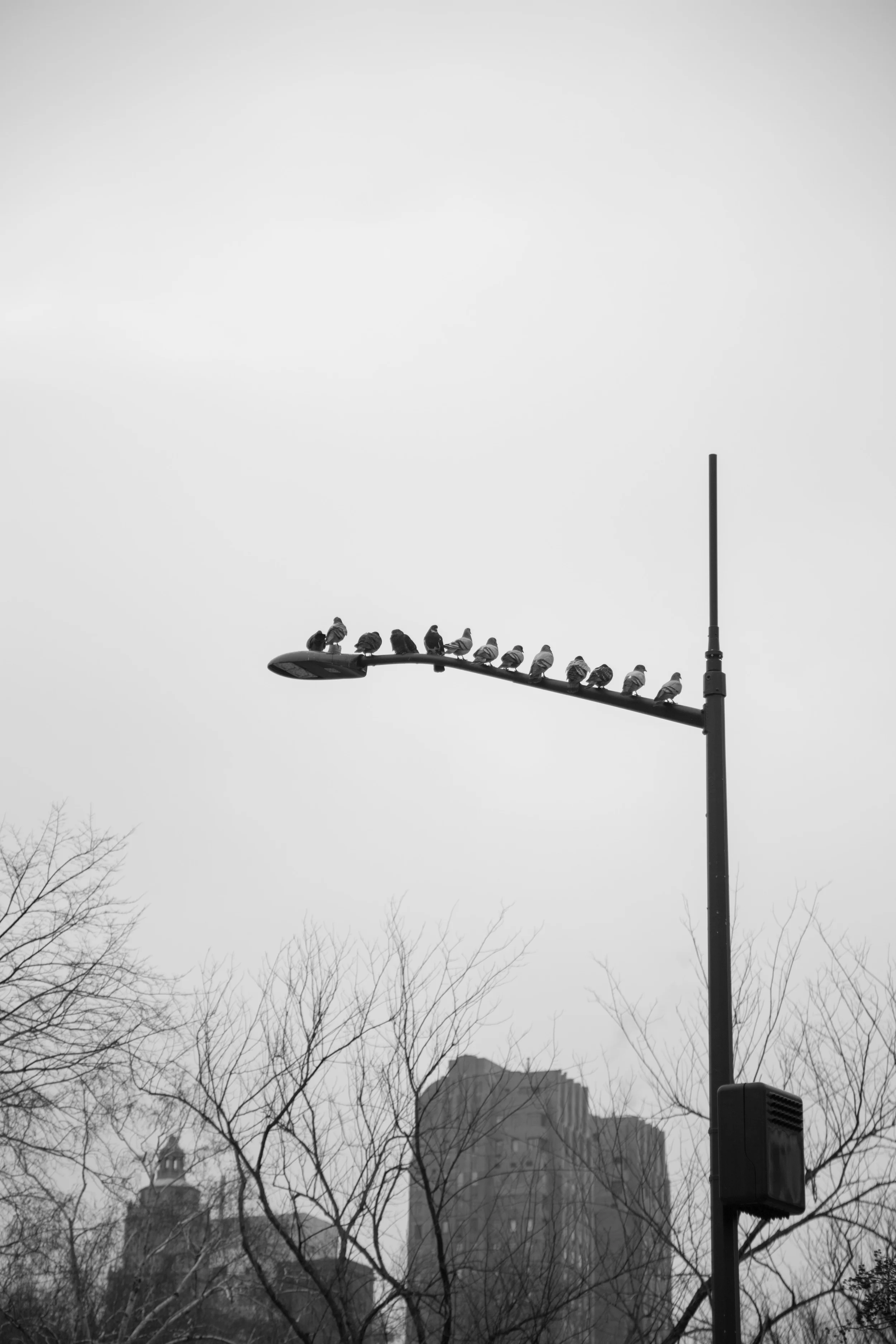 IMG_3233.jpg