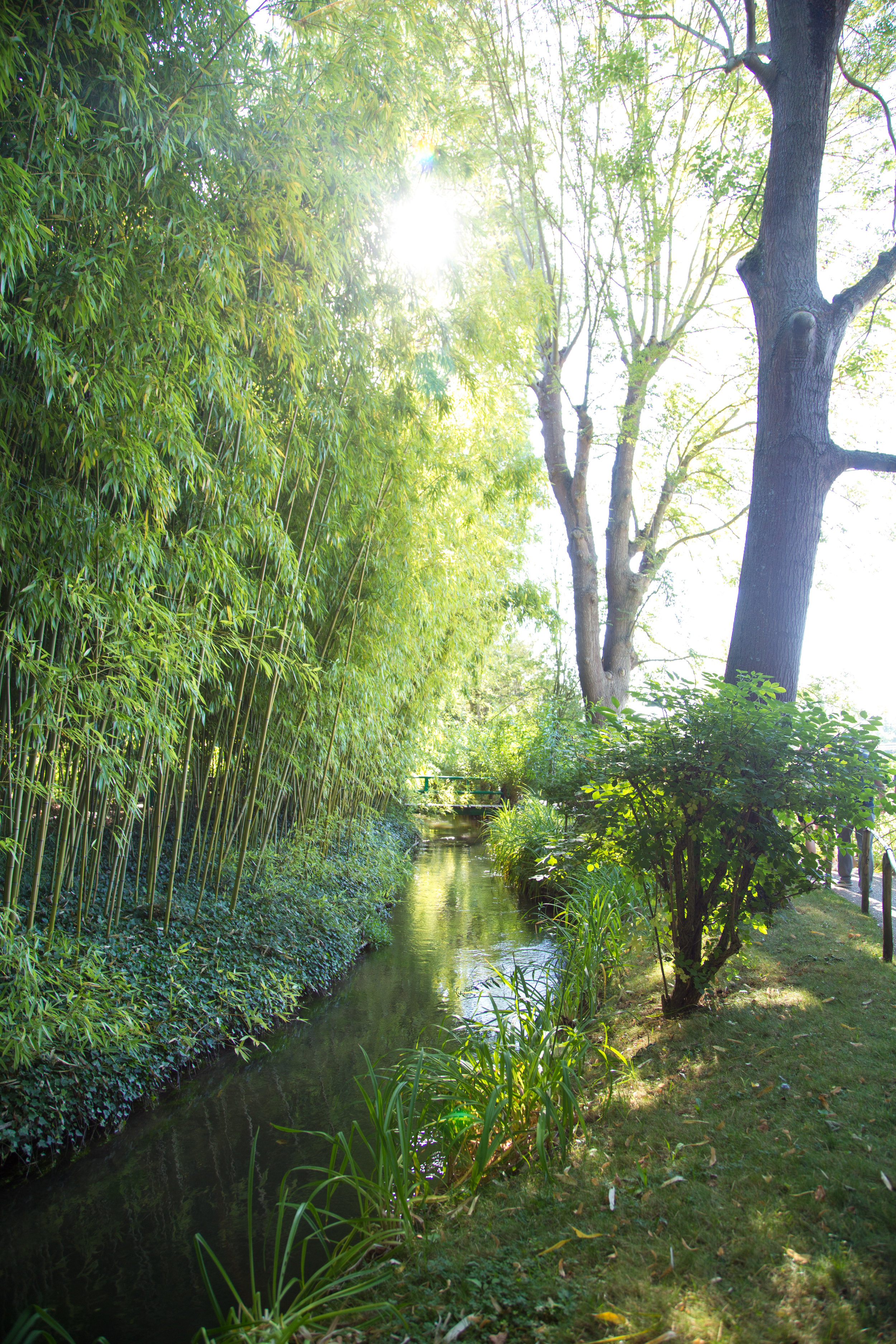 IMG_1714.jpg
