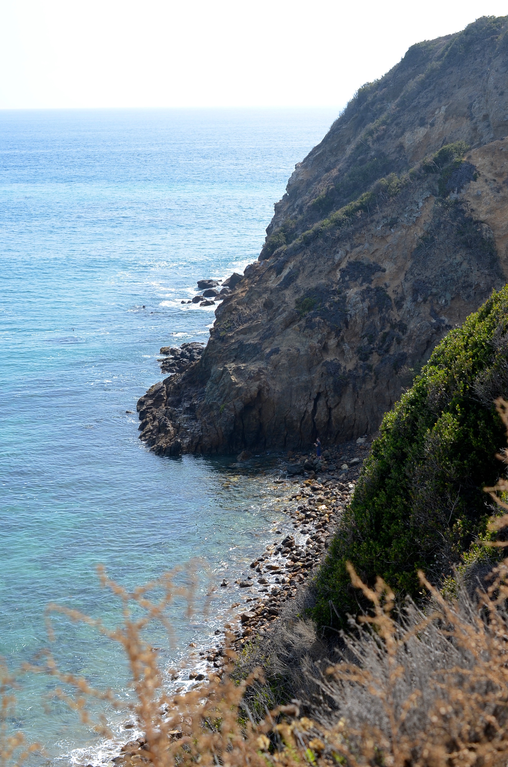 DSC_0045.jpg