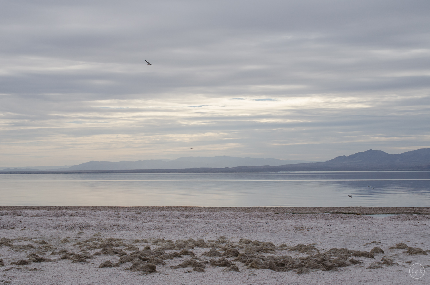 SALTON SEA-sm-0235.jpg