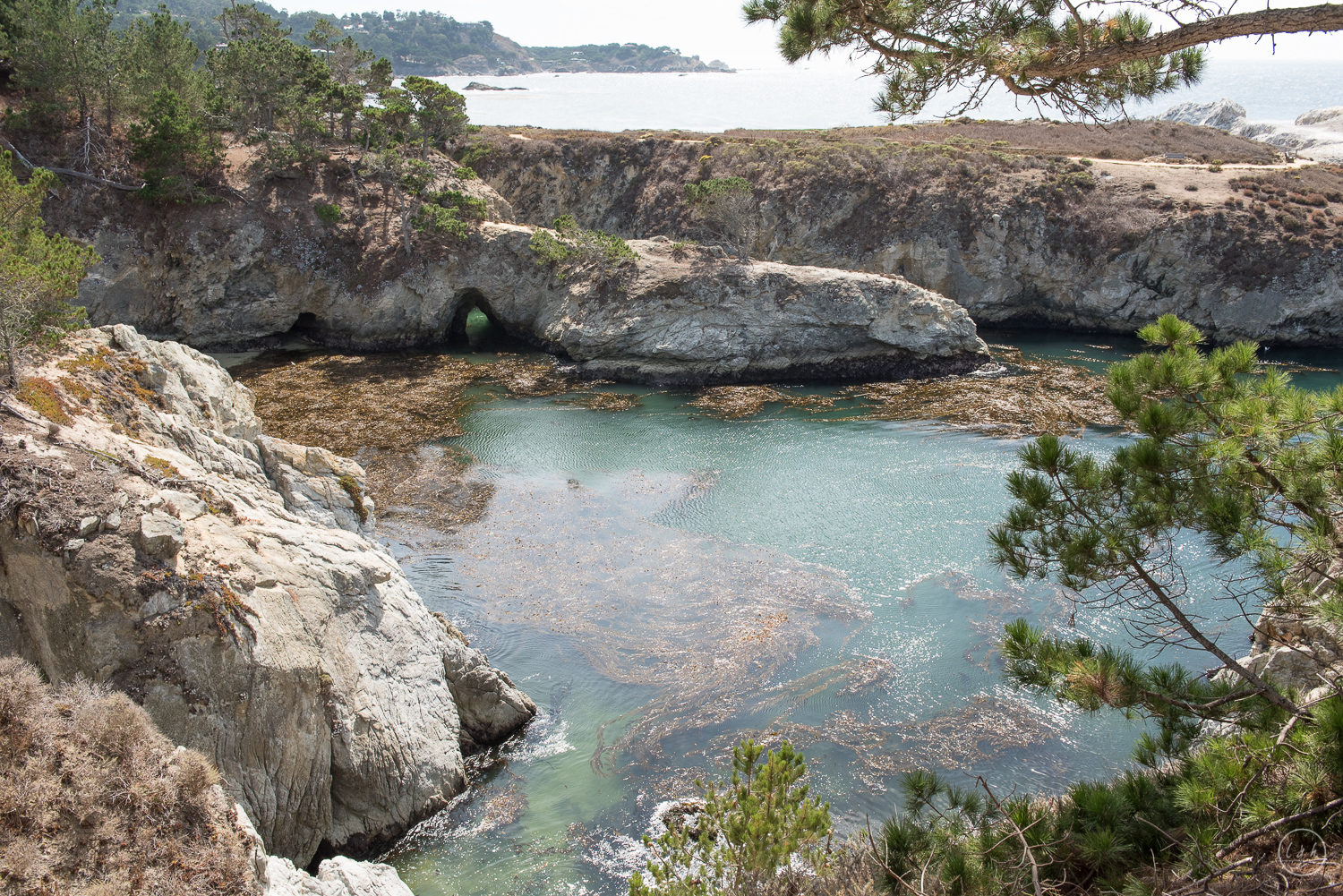 DSC_1099.jpg