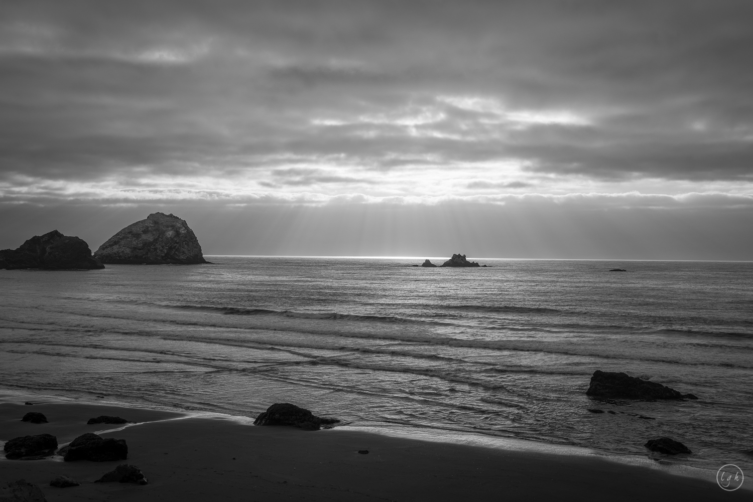 DSC_1646.jpg