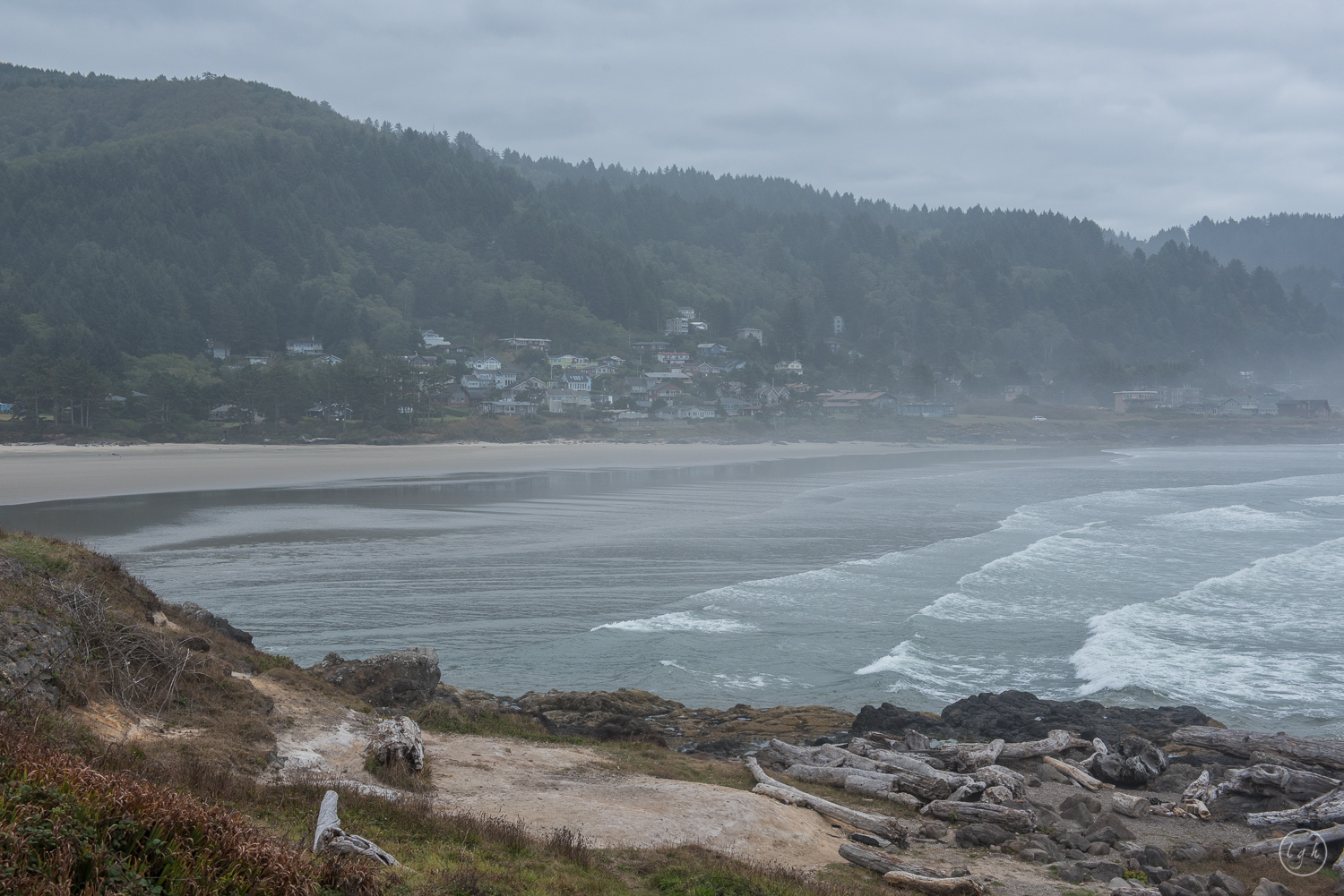 DSC_2023.jpg