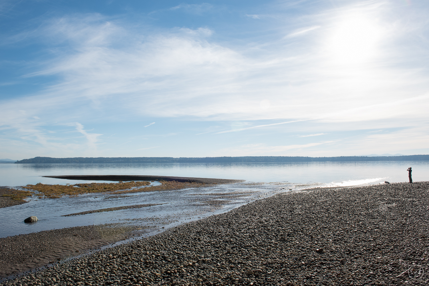 DSC_2146.jpg