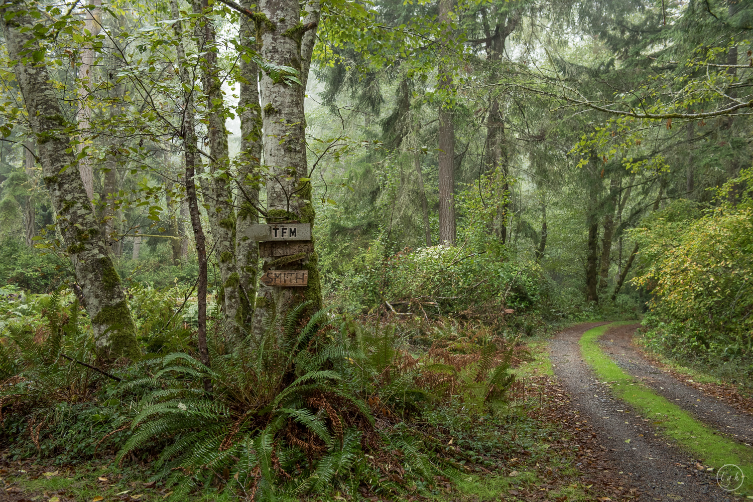 DSC_2226.jpg
