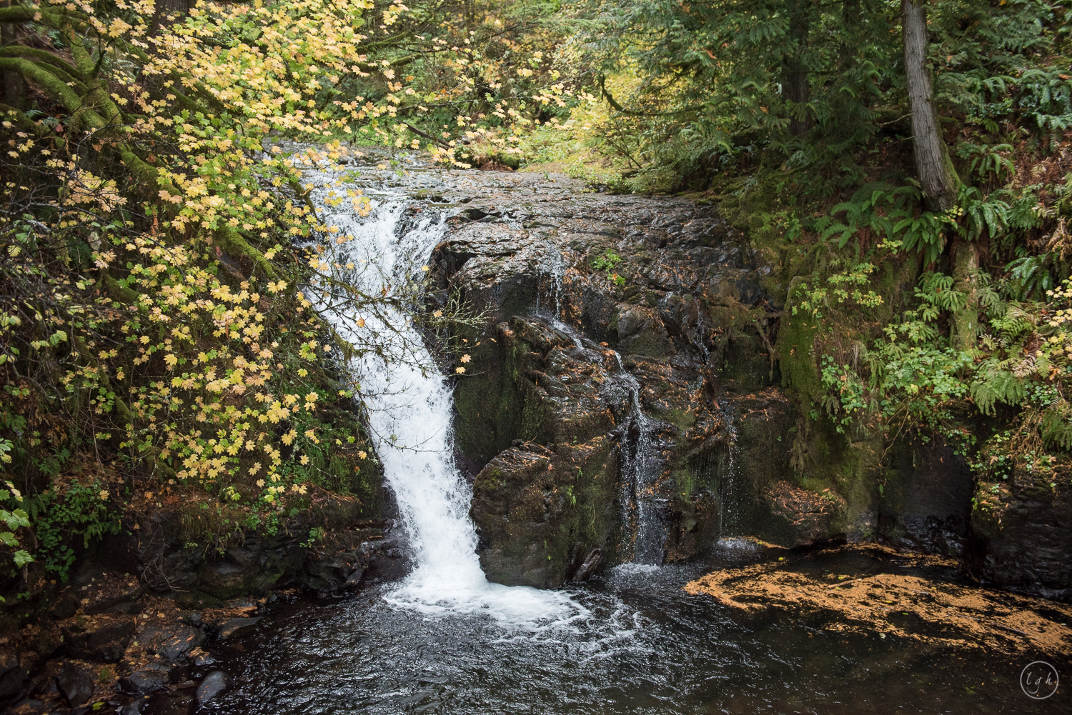 DSC_2274.jpg