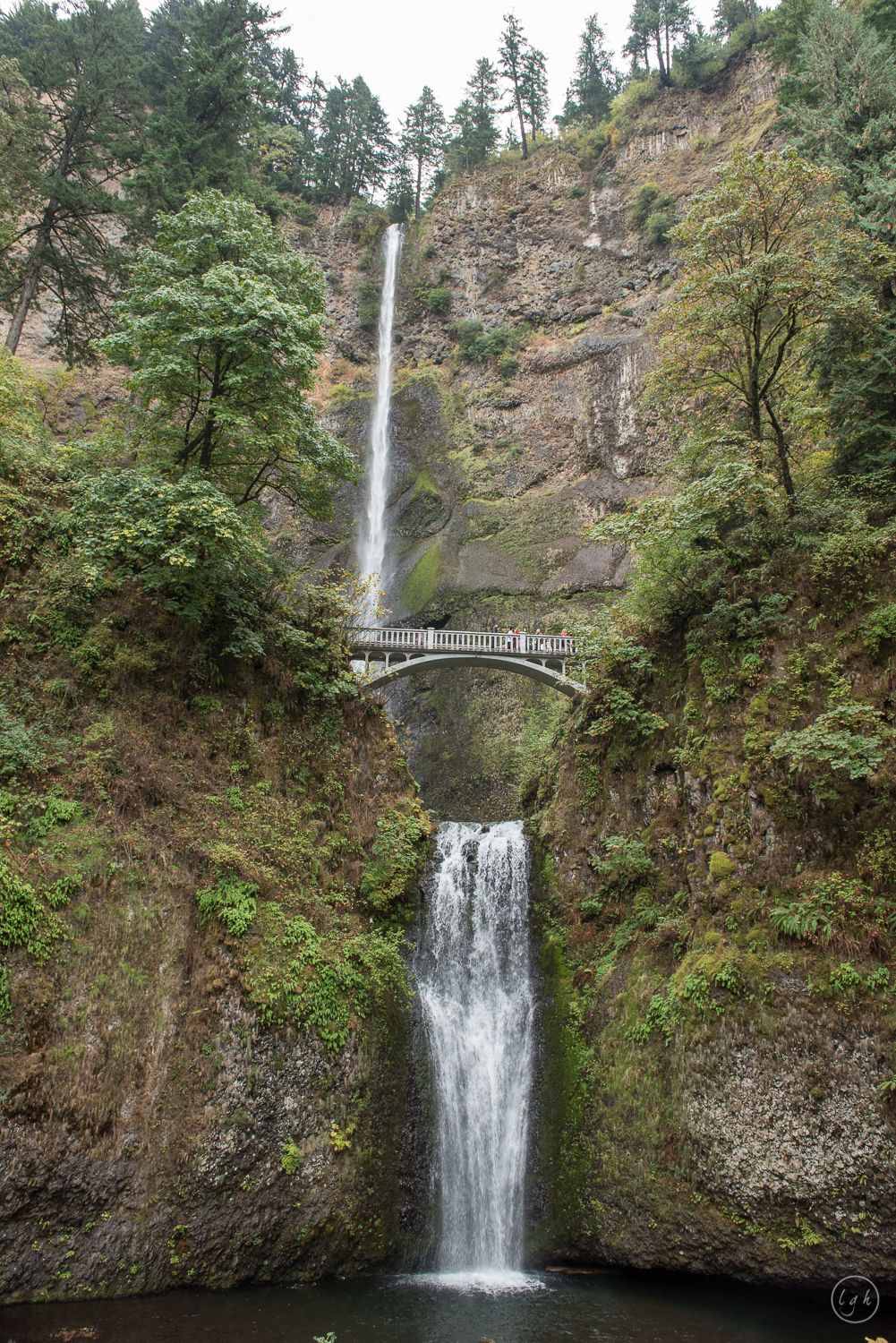 DSC_2238.jpg