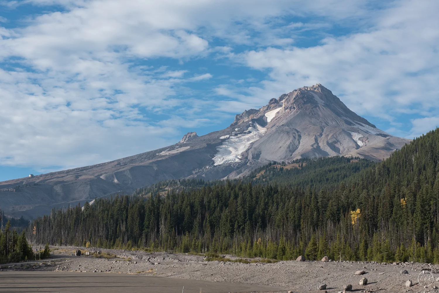 DSC_2392.jpg