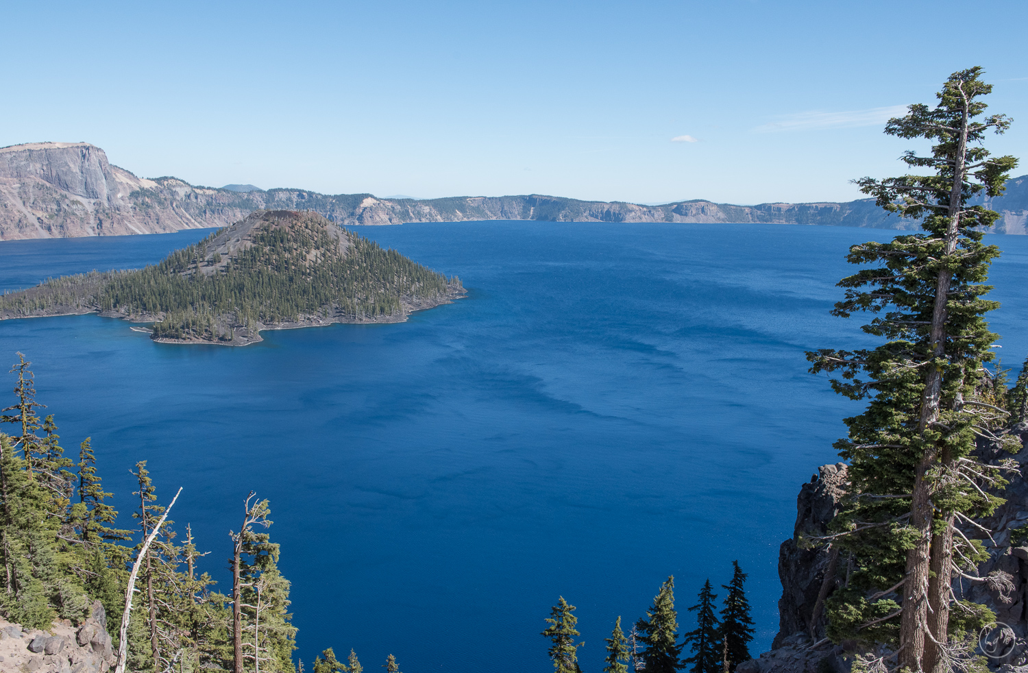 DSC_2473.jpg