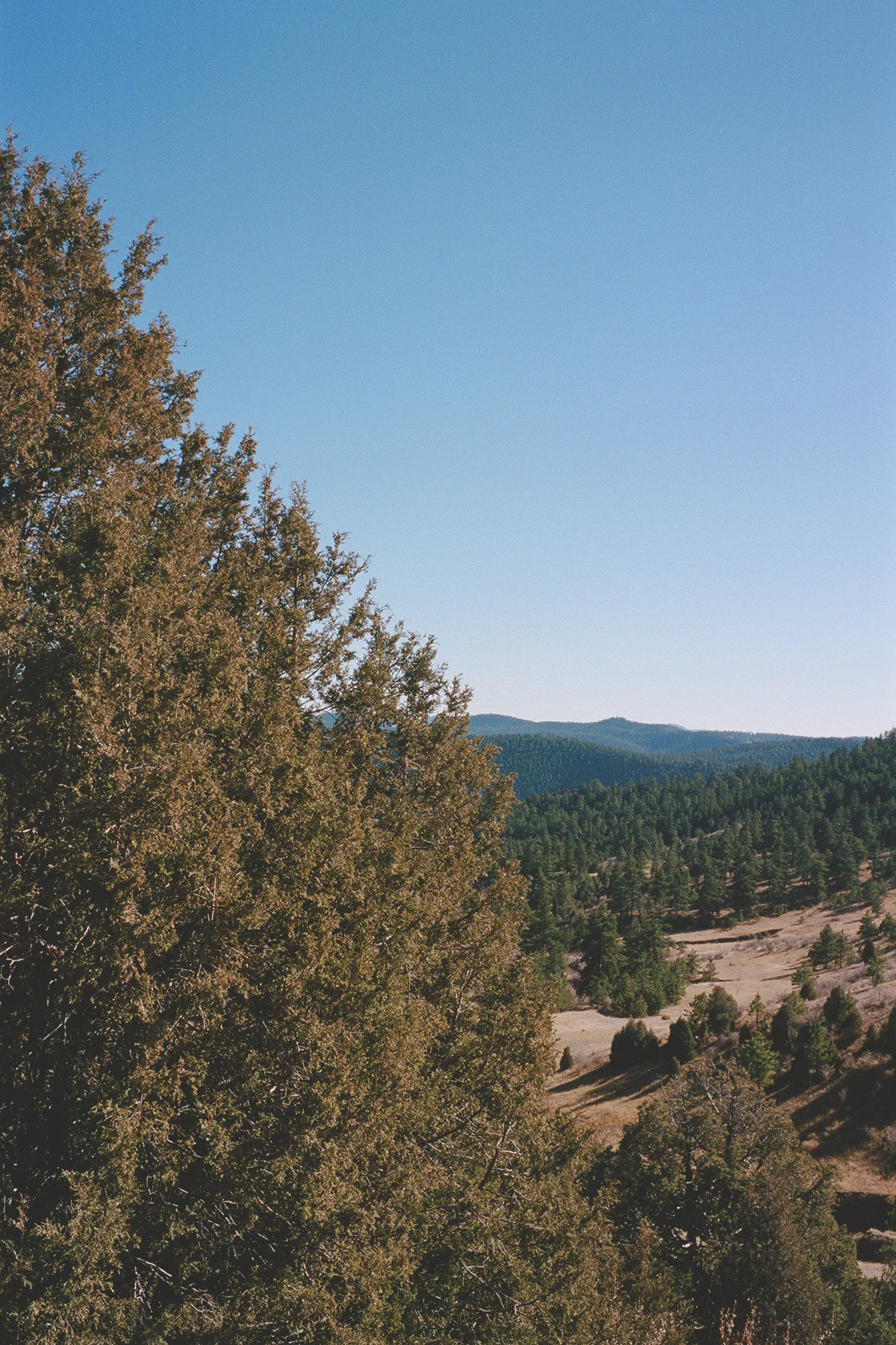 nature.jpg