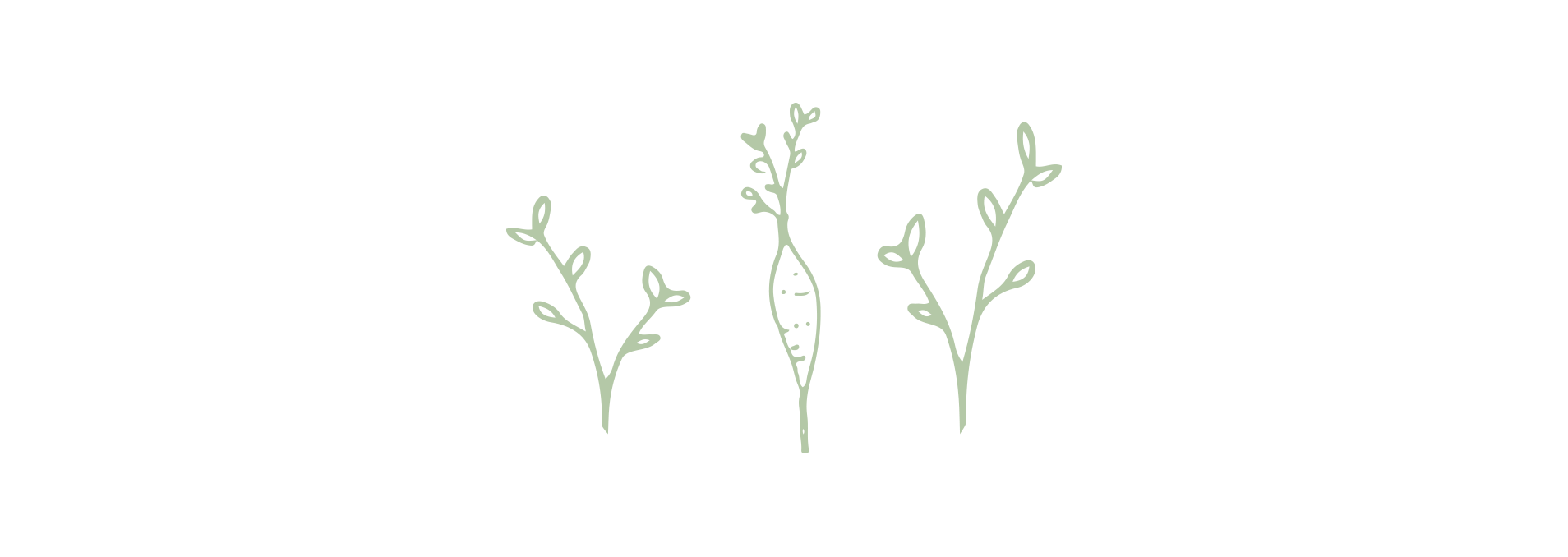 carrot.png