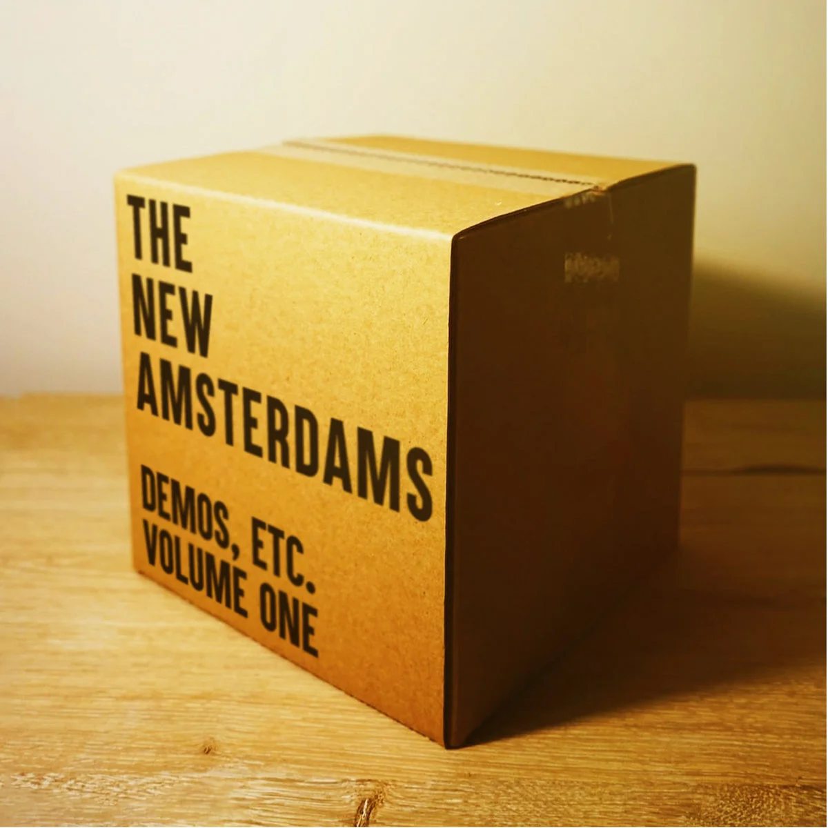 The New Amsterdam's Vaults Open and Available on Bandcamp! 