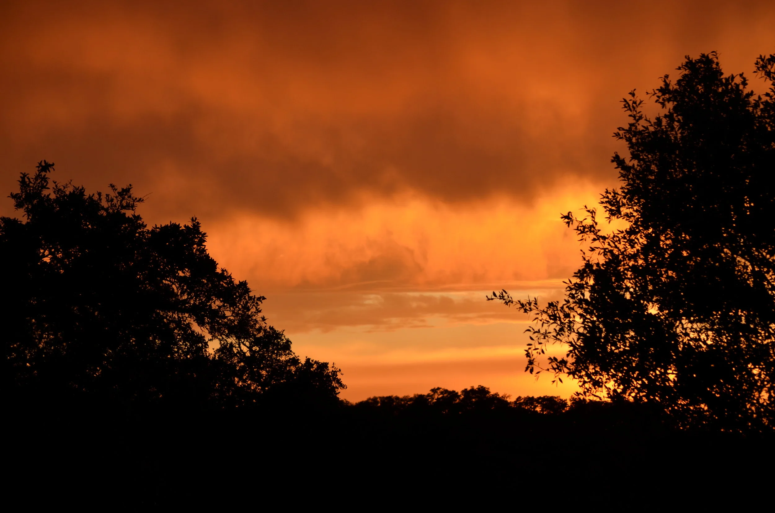 20150423_1 sunset.JPG