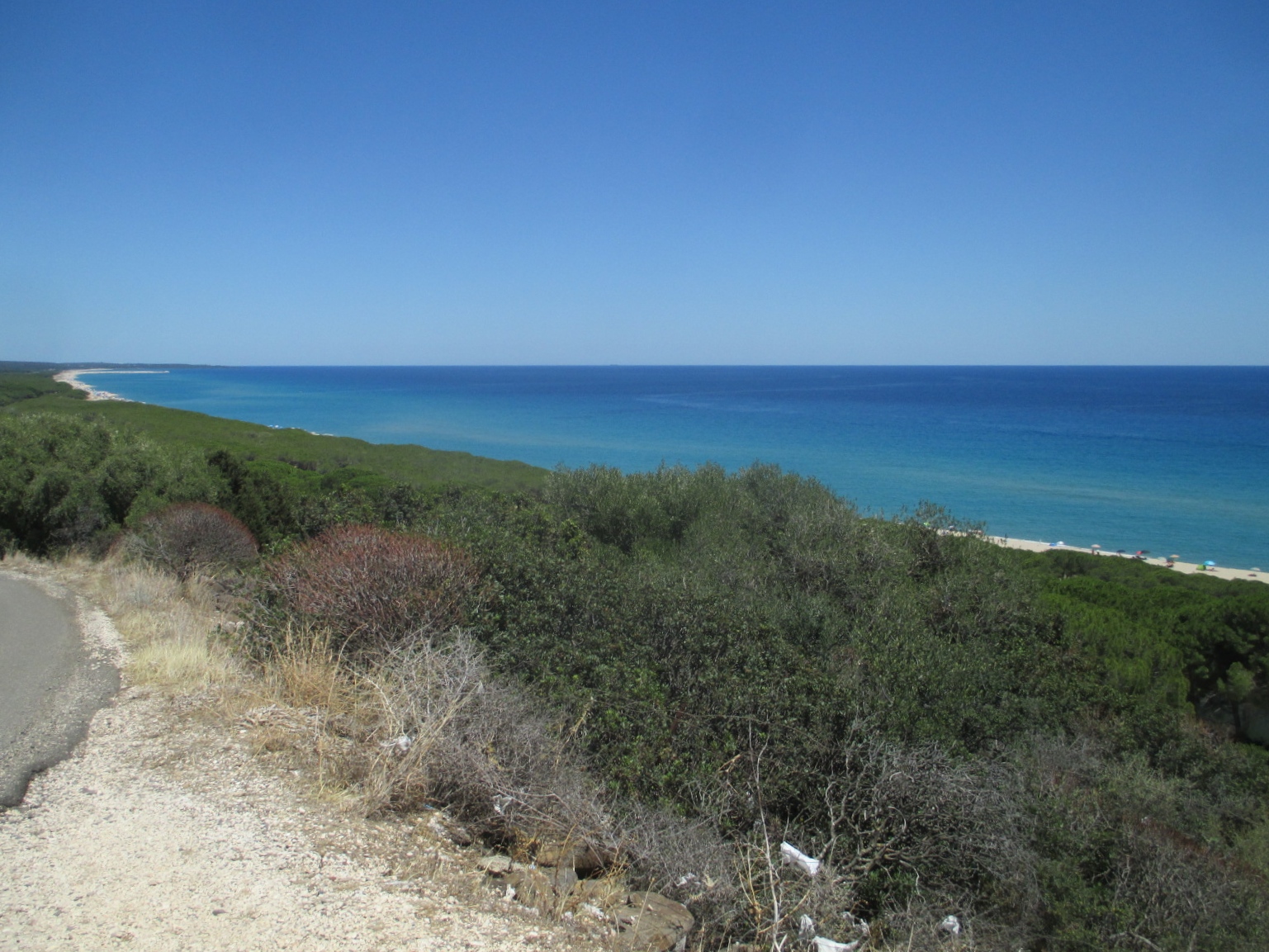 2016-07-17 07.16.33 golfo orosei colors.jpg