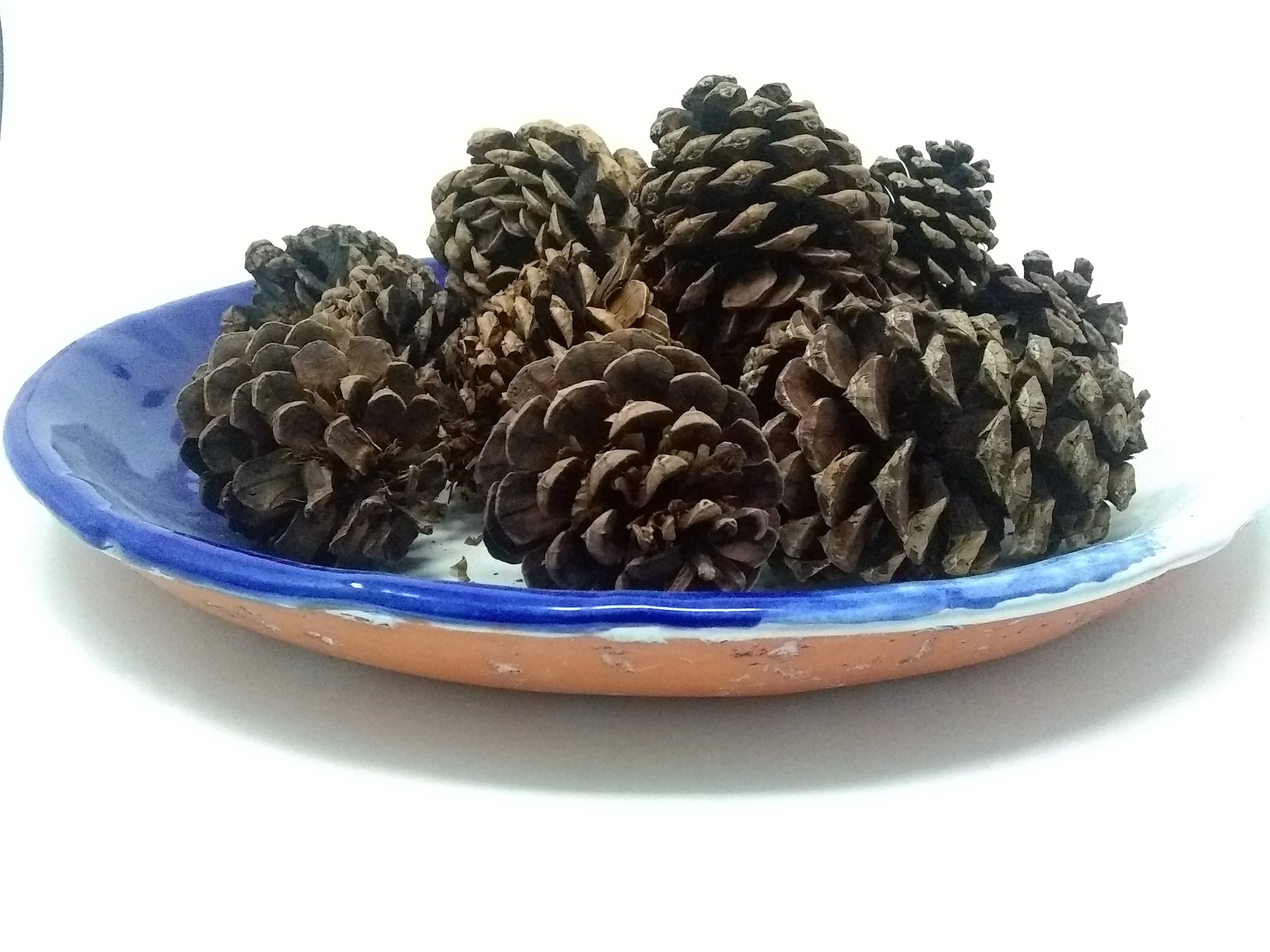 pine cone platter.jpg