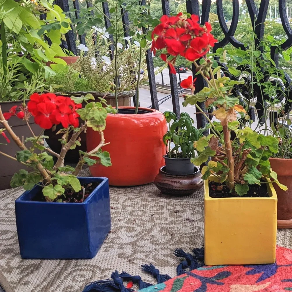 marrakesh+cubes+balcony+plants.webp