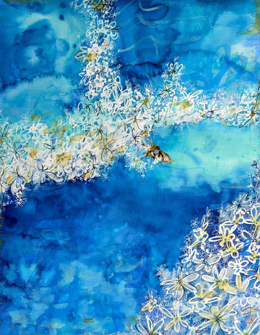 Cruising and Bloomin