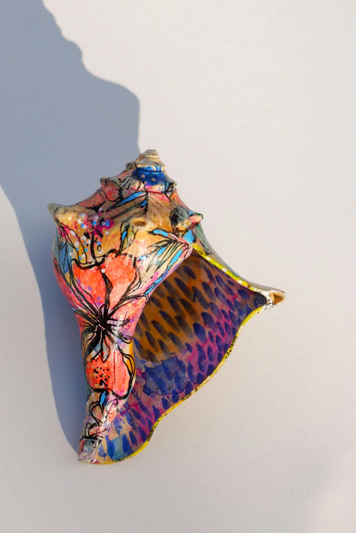 hibiscus whelk_1.jpg