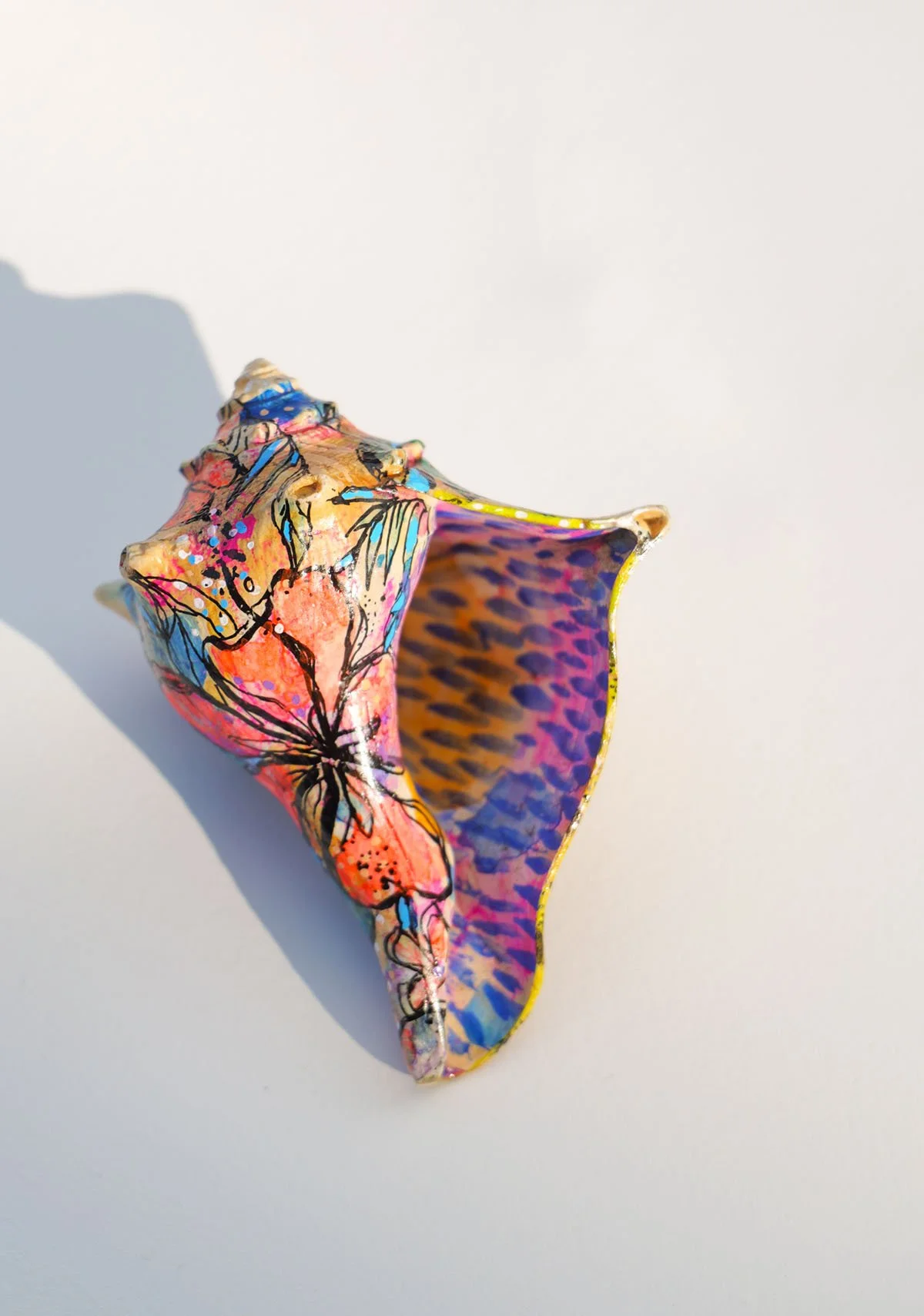hibiscus whelk_4.jpg