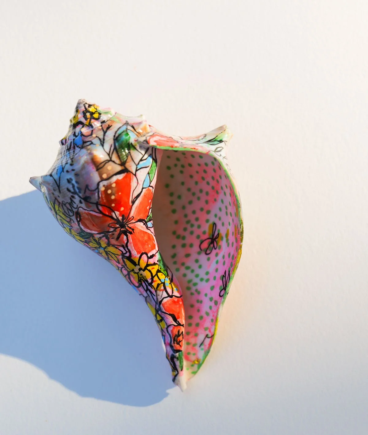 small shell_2.jpg