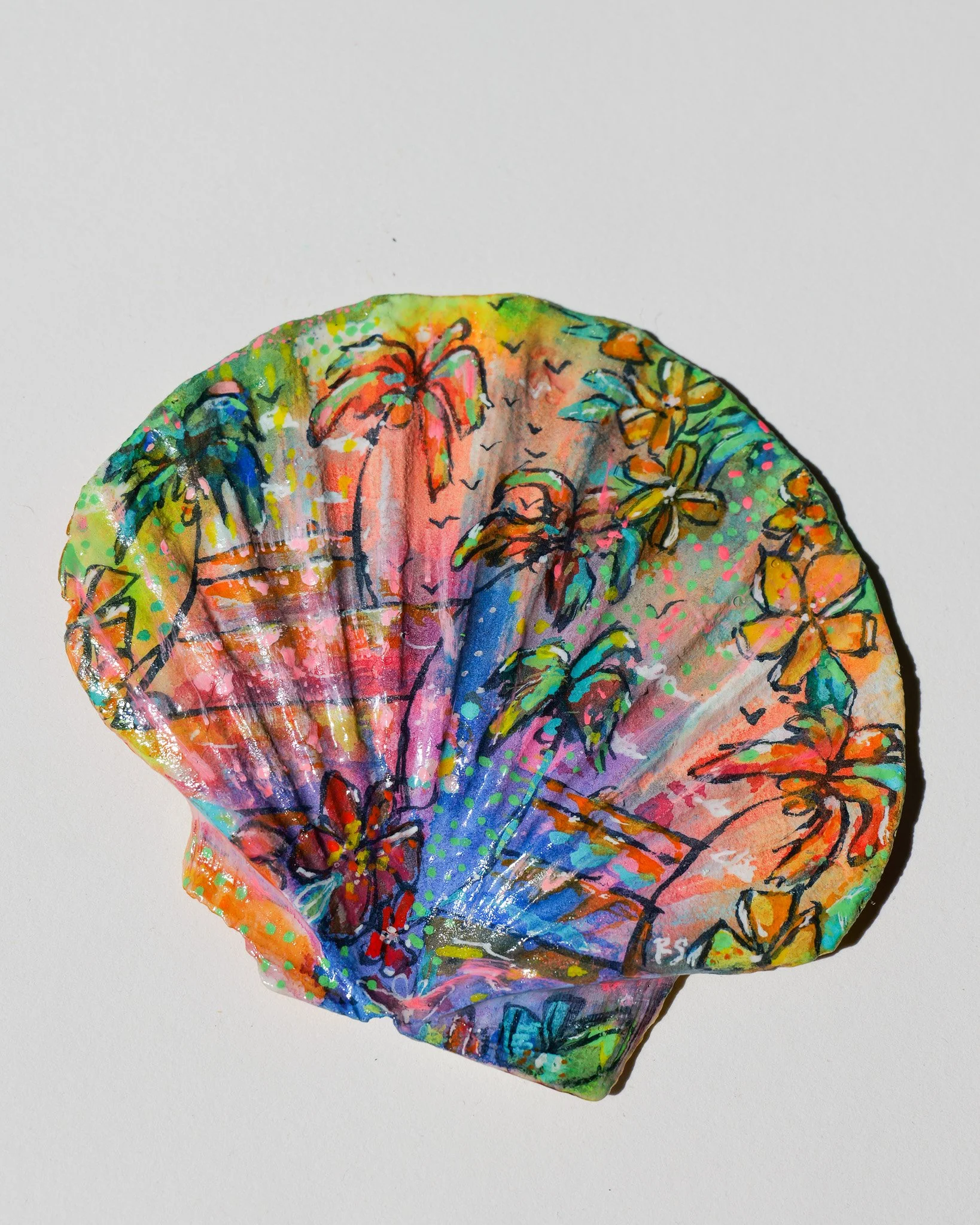 Sunset Hues Flat Scallop