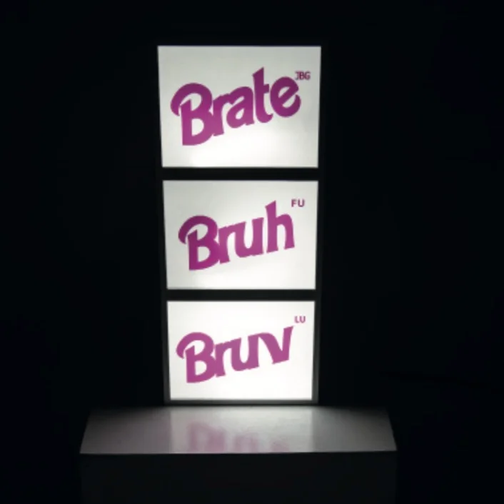 The Fraternity , set of light boxes, 2018. Courtesy of the artist.